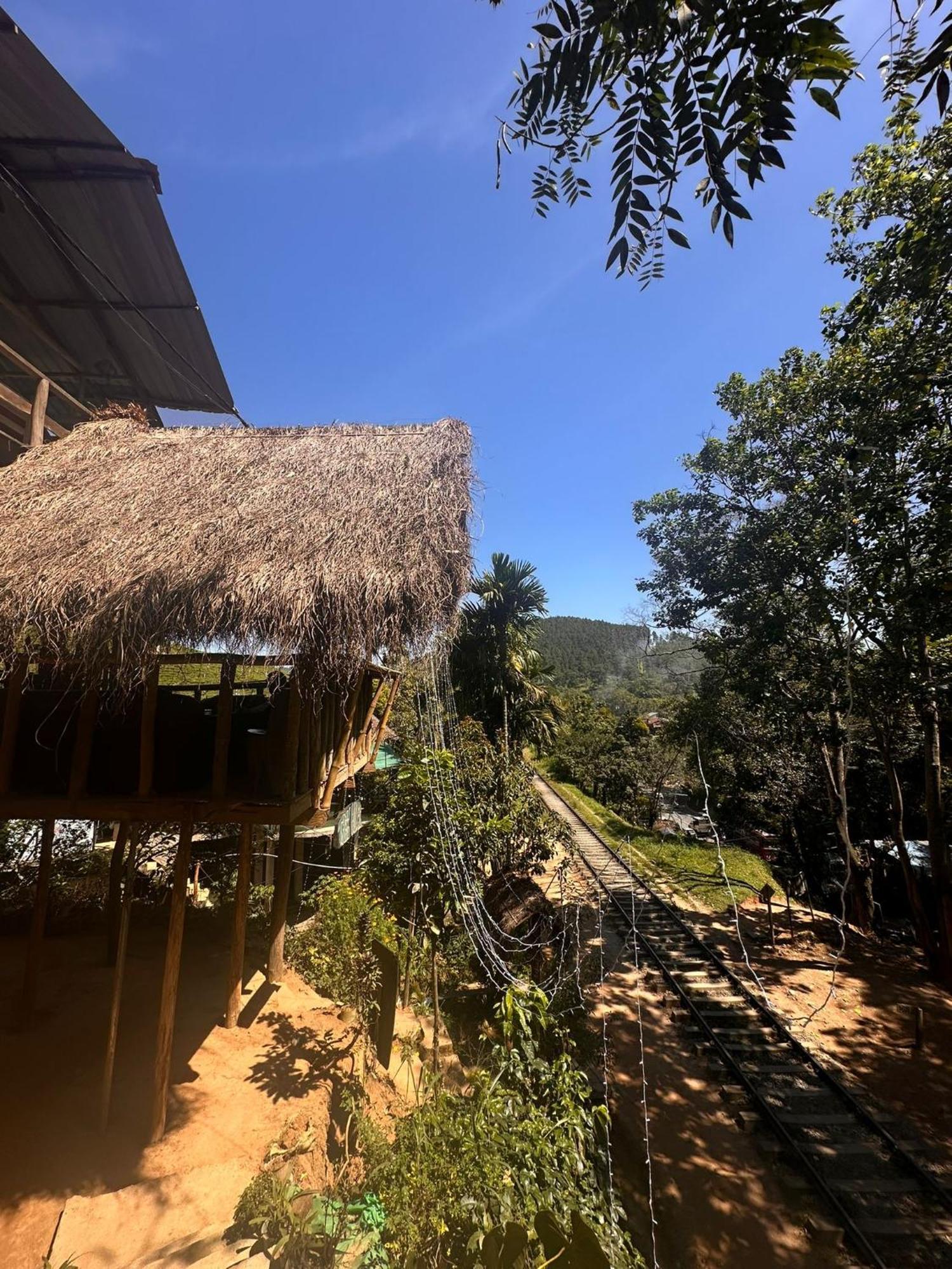 Hotel Tree House