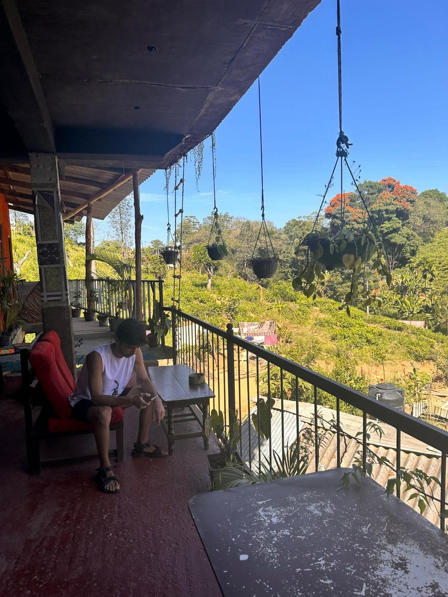 Tree House Hotel *