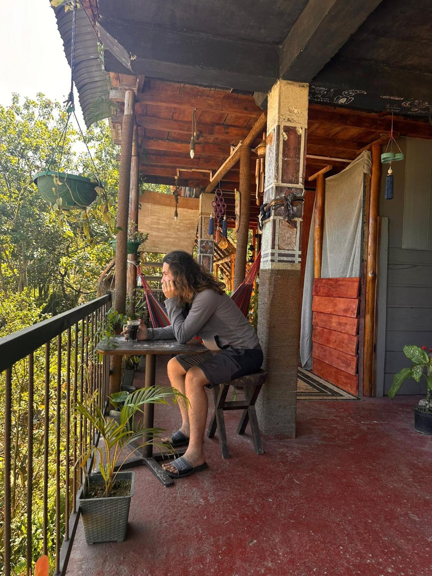 Tree House