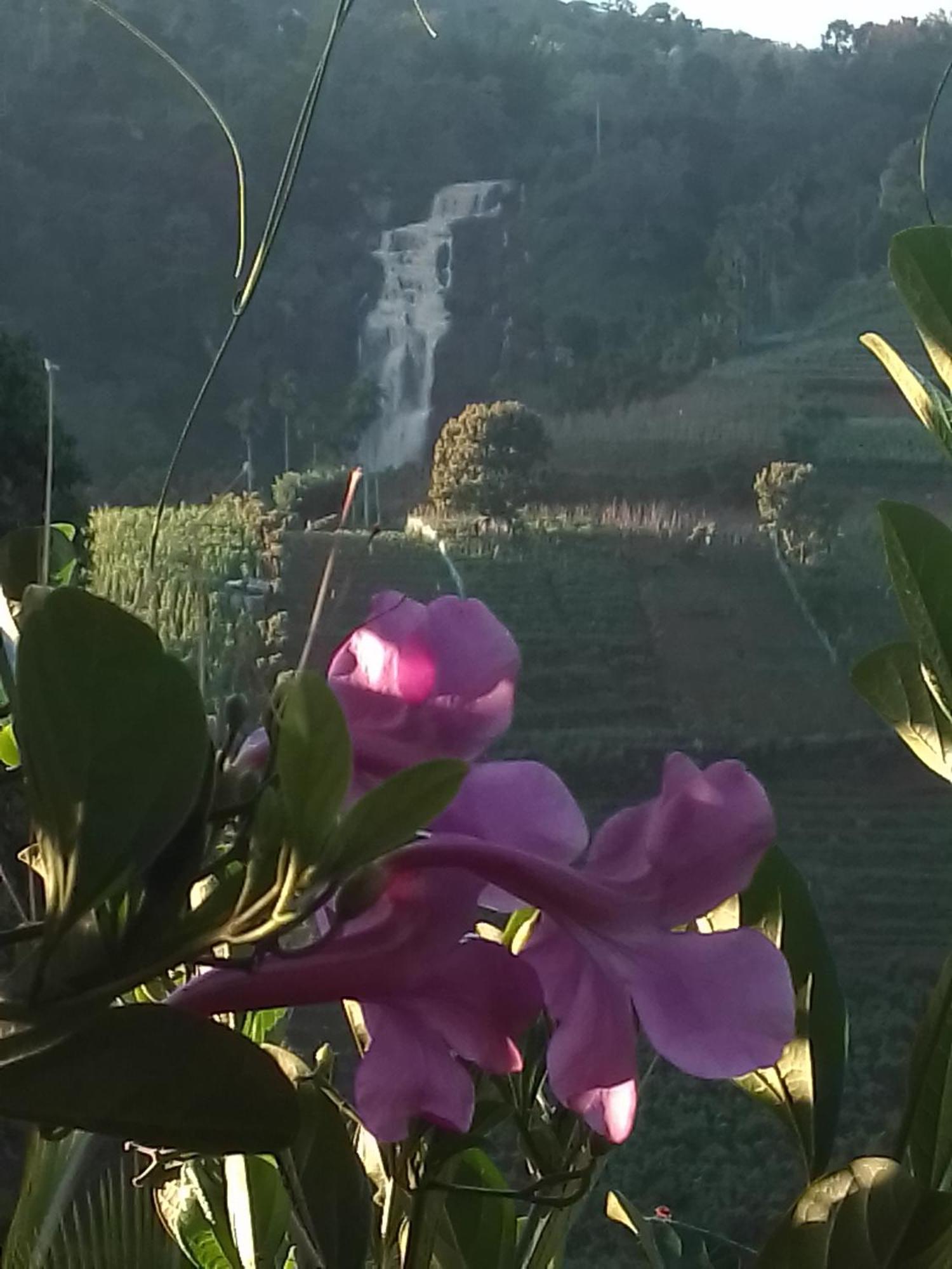 Cascade Vally
