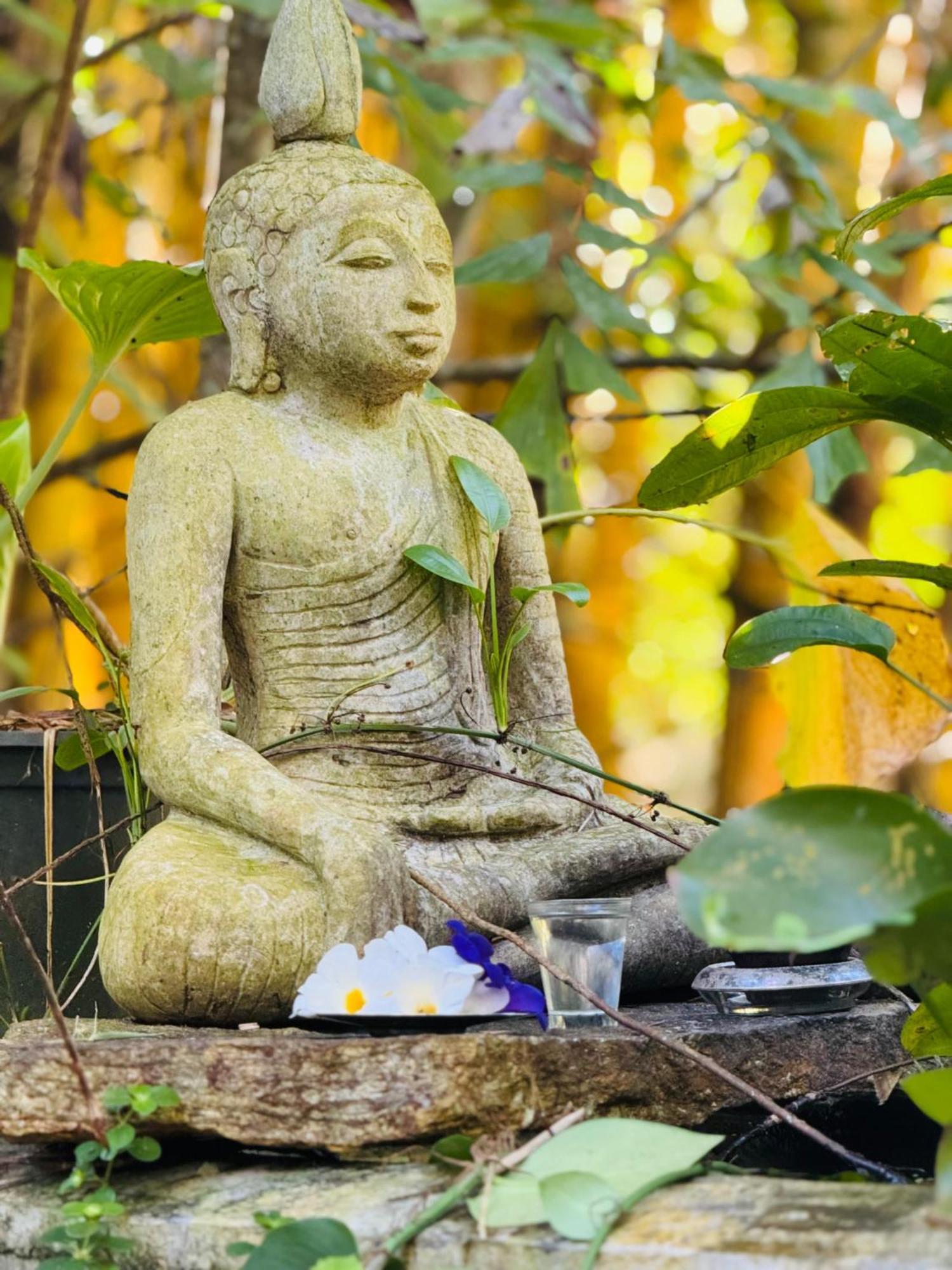 Moksha Eco Guest house 2*