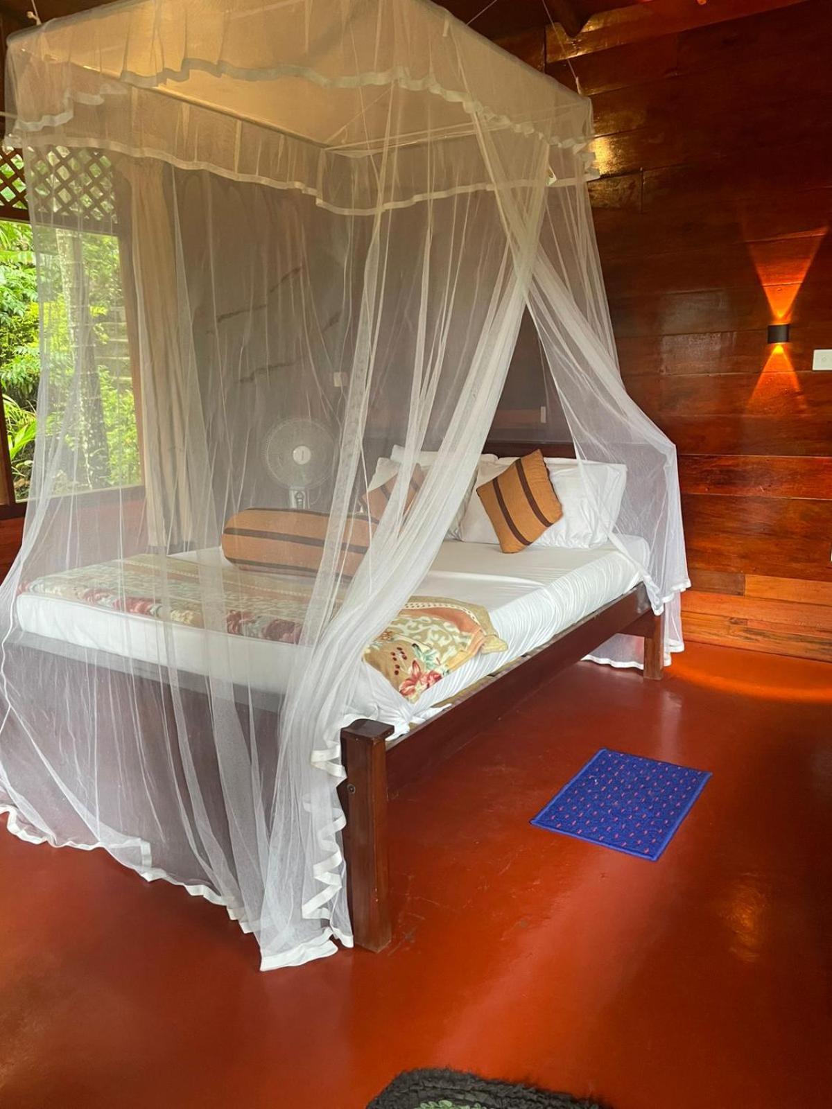 Nine Arch Jungle Guest house Ella