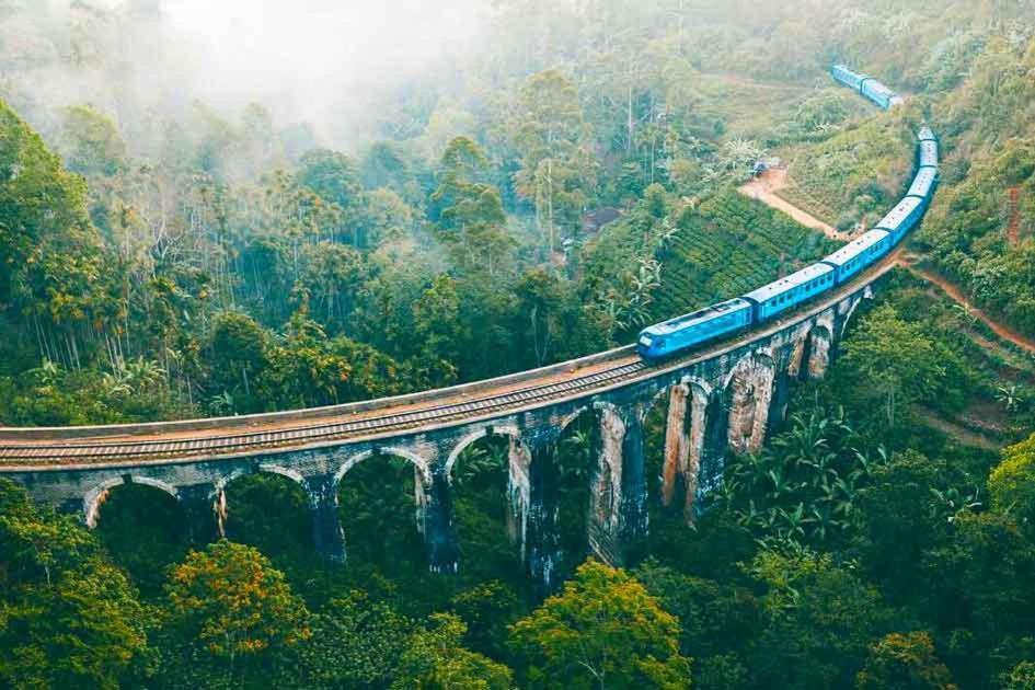 Nine Arch Jungle