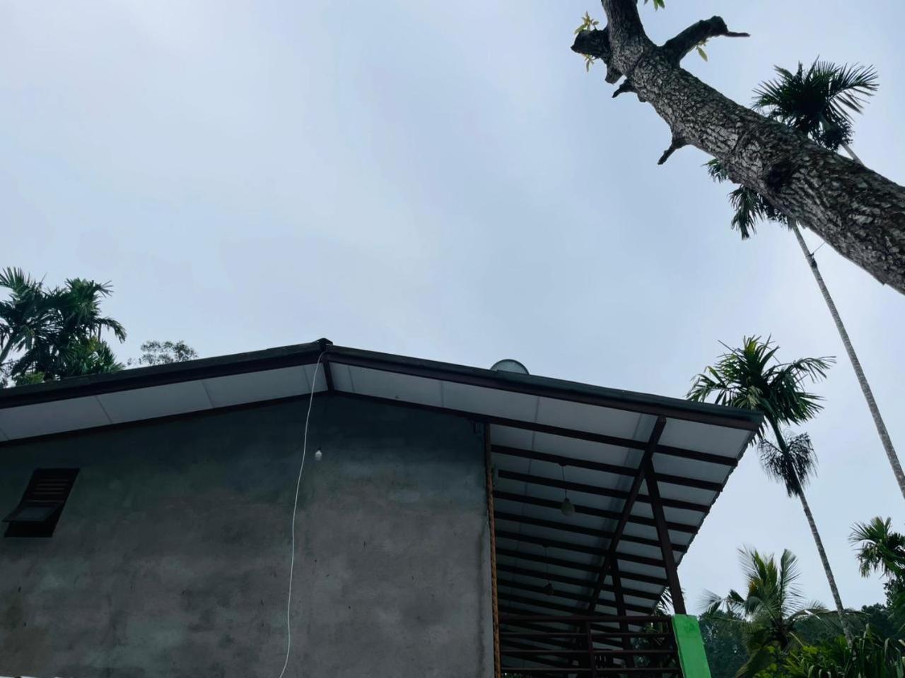 Guest house Nine Arch Jungle