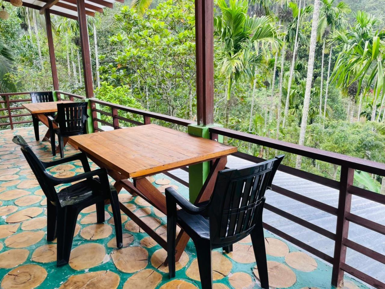 Nine Arch Jungle Guest house