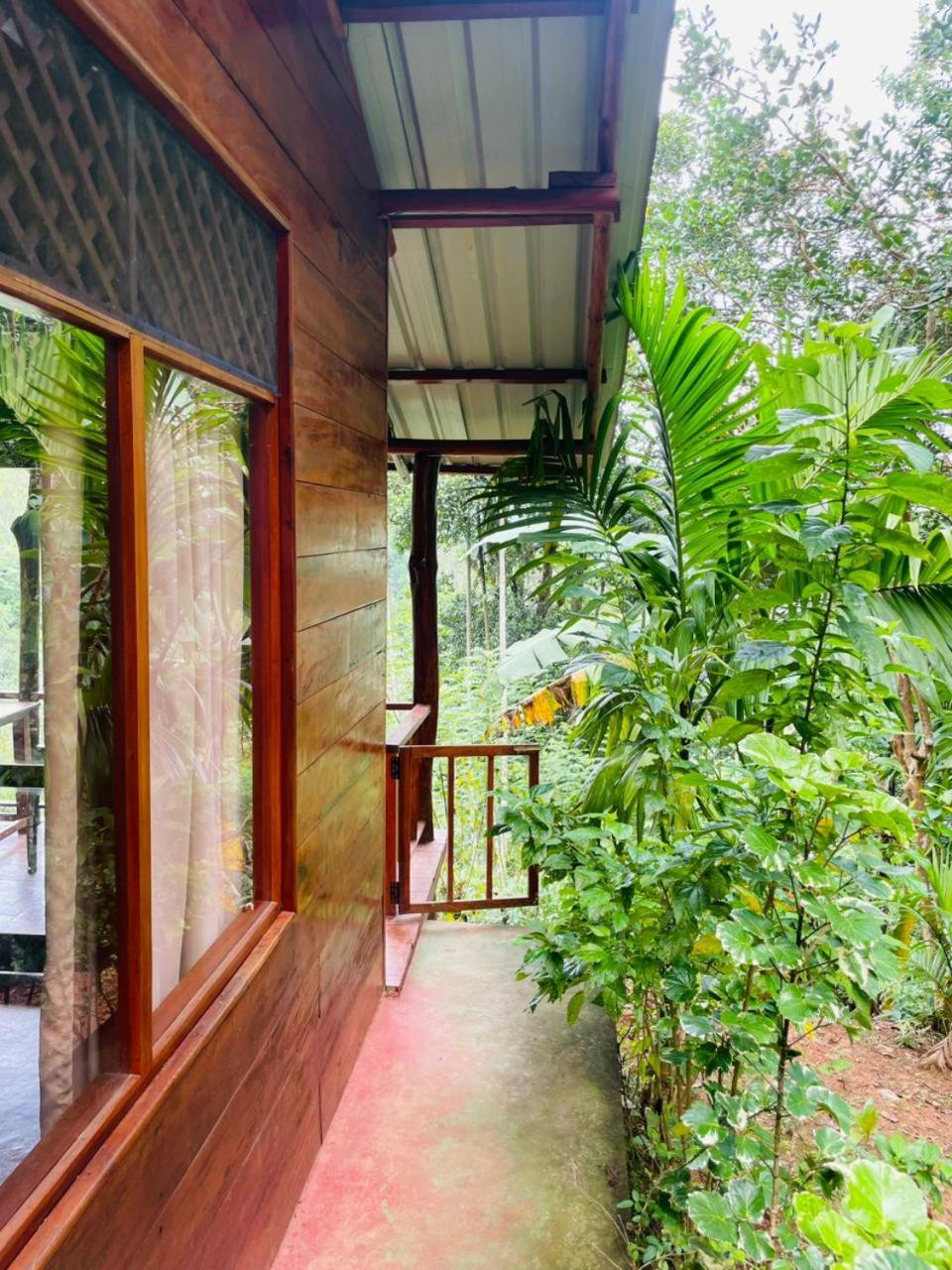 Nine Arch Jungle Guest house 3*