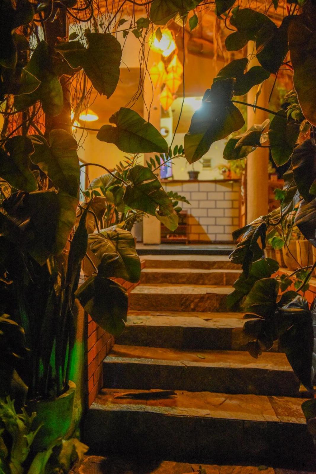 Hotel Brown House