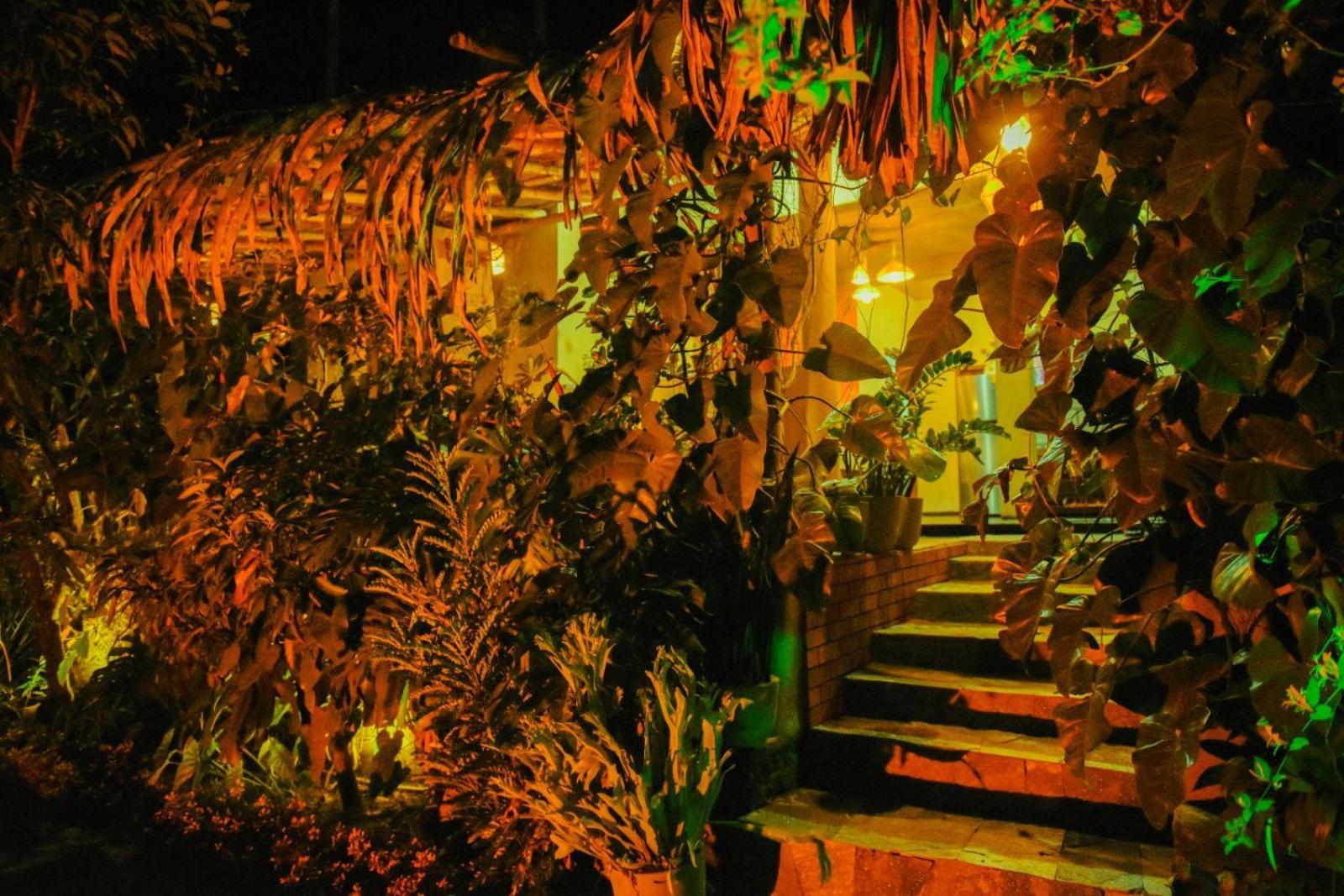 Hotel Brown House *