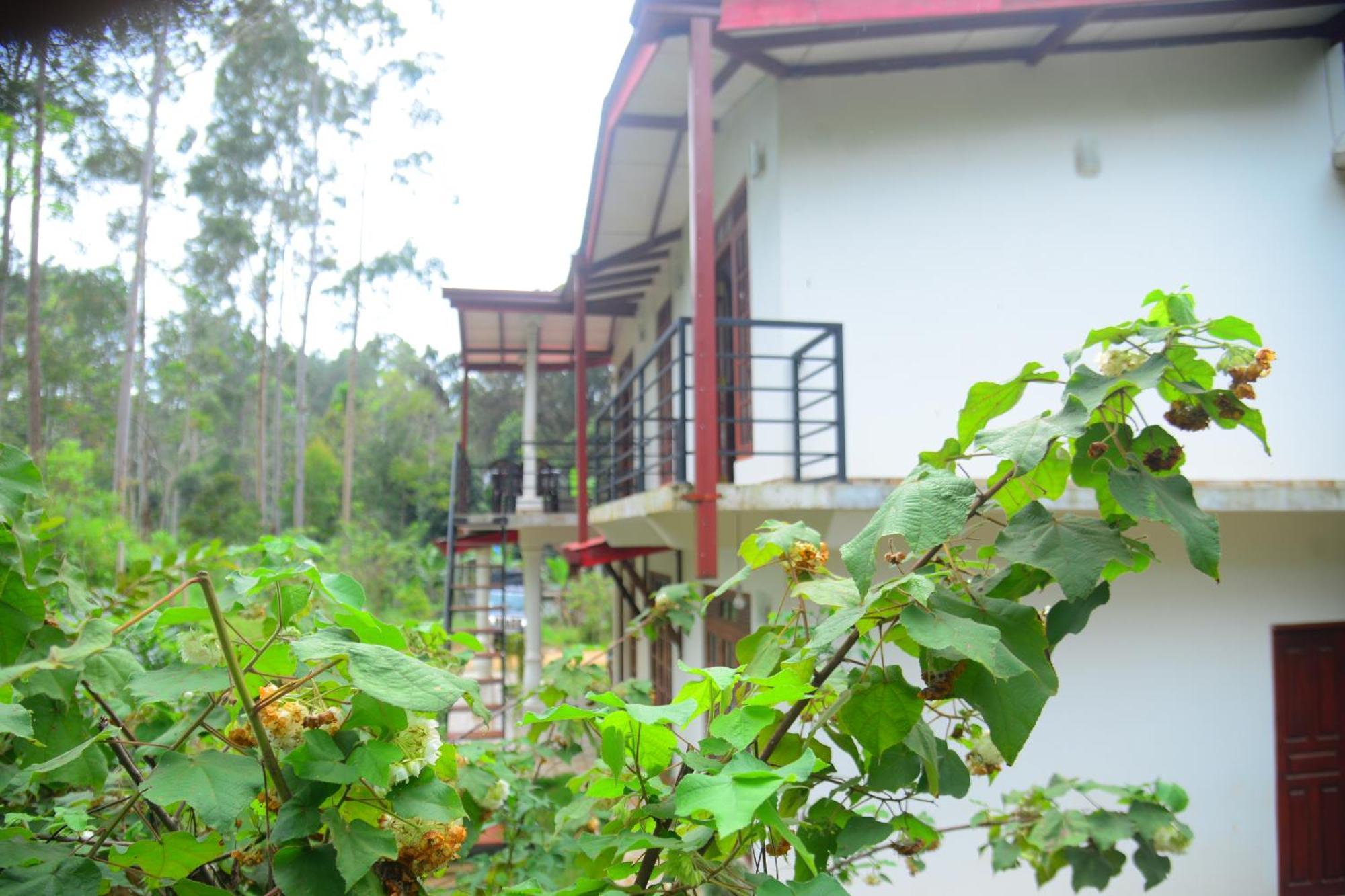 Silver Tips Villa Ella