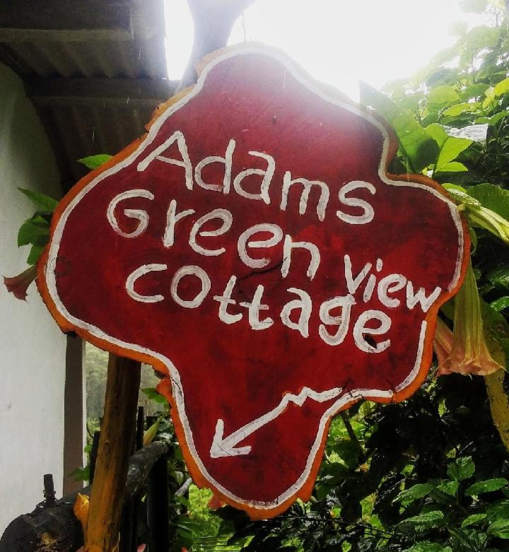 Adams View * Ella