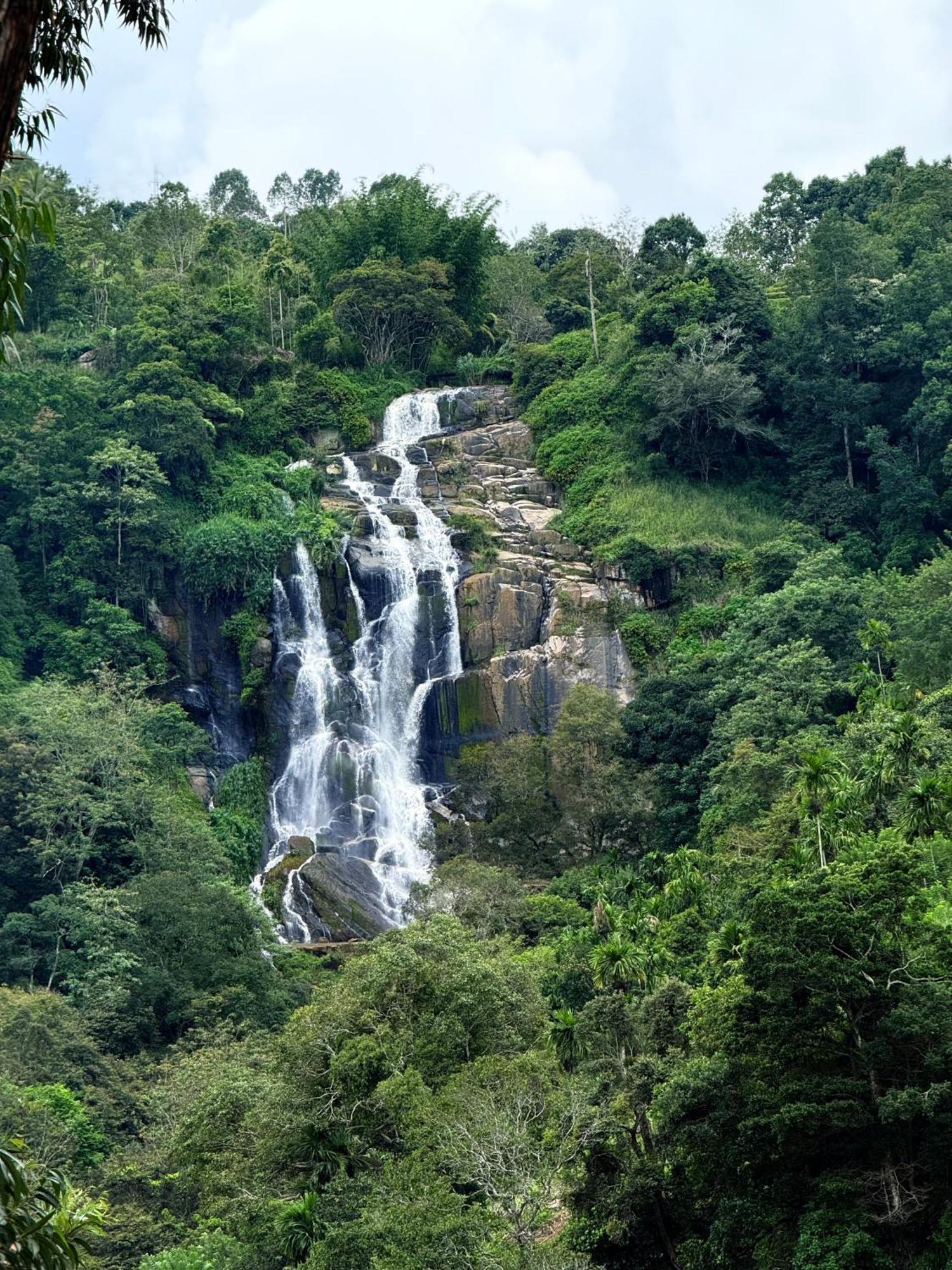 Homestay Waterfall View *