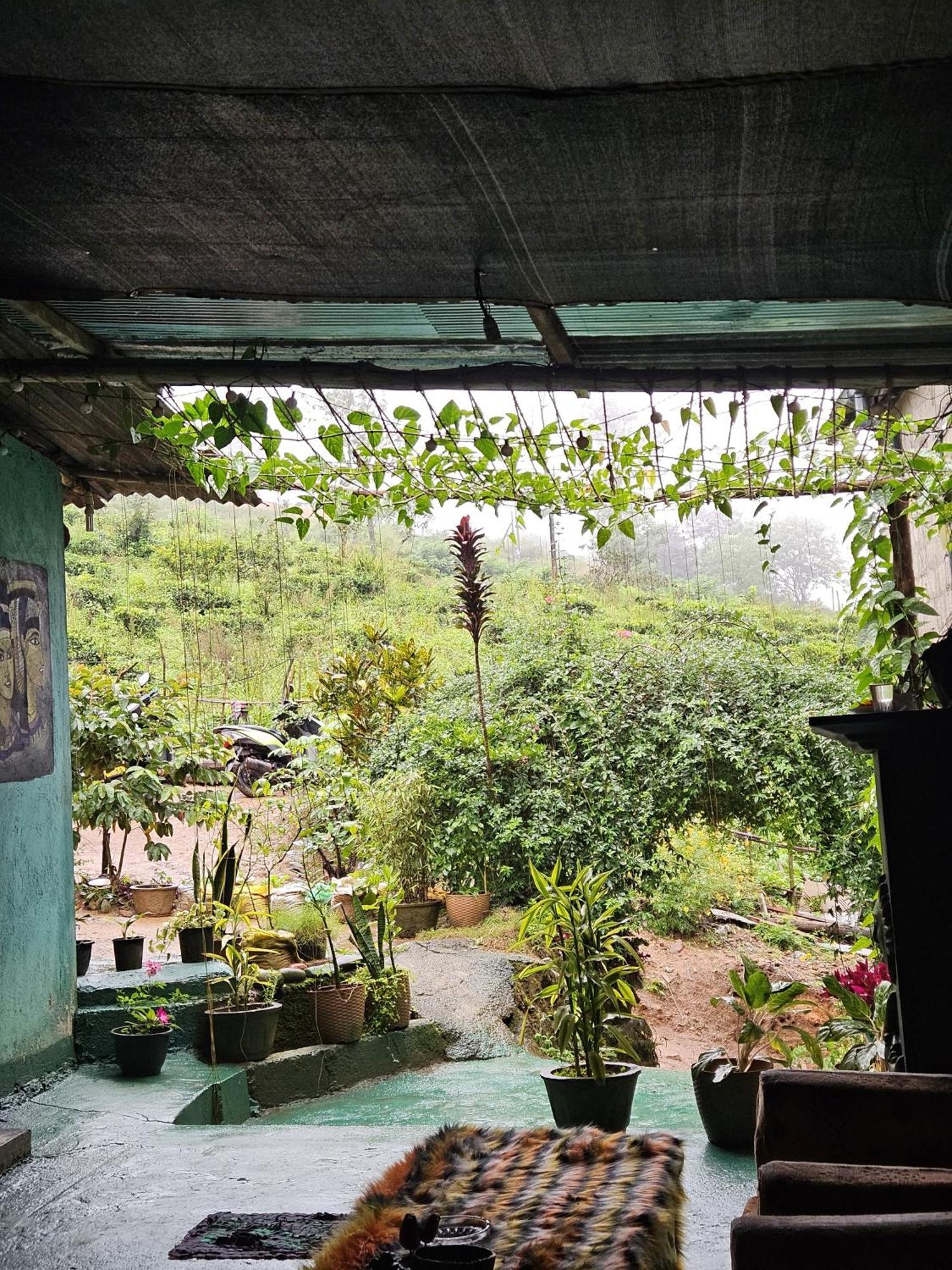 Cozy House Hostel
