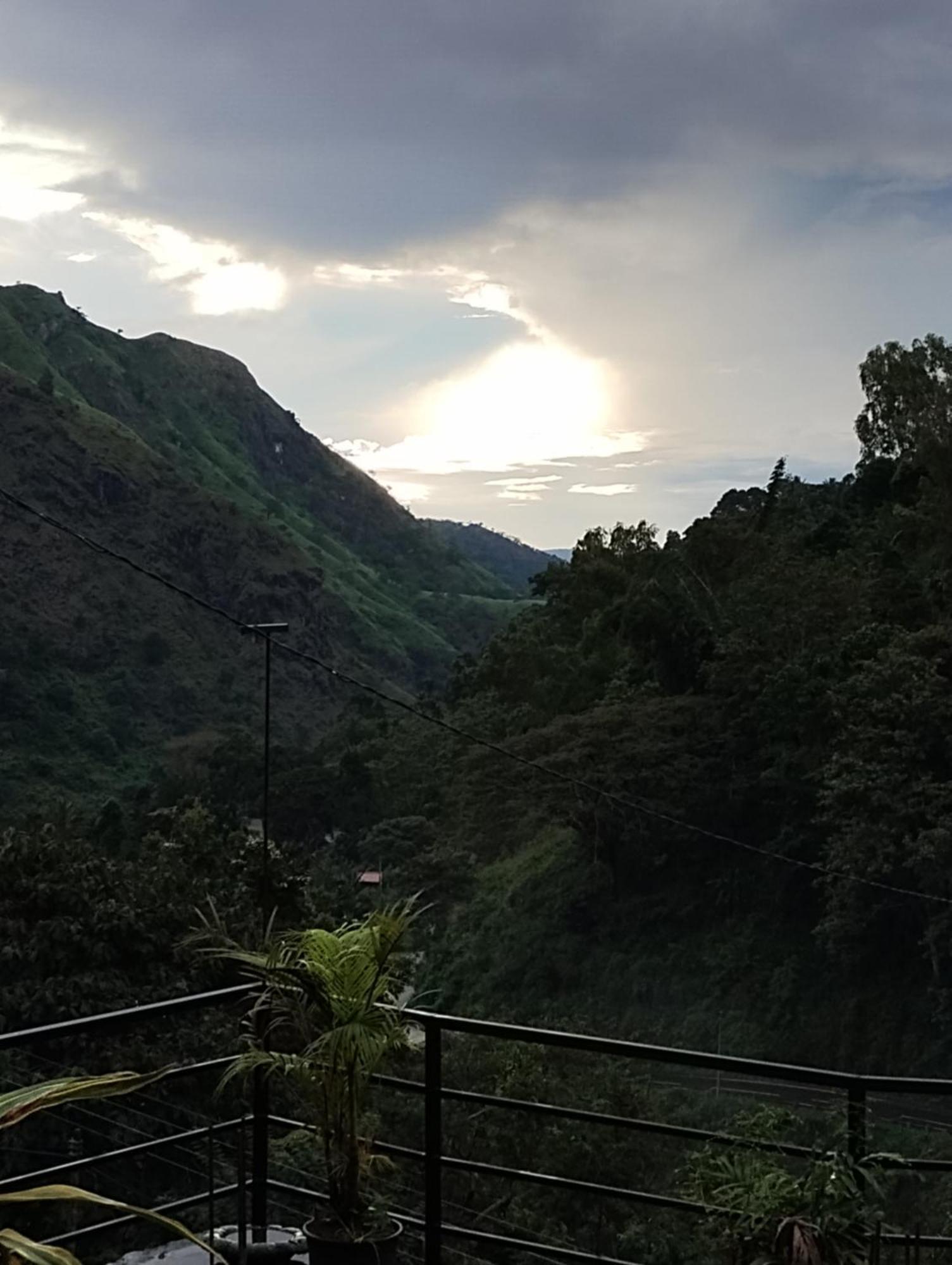 Lucky Panoramic Ella