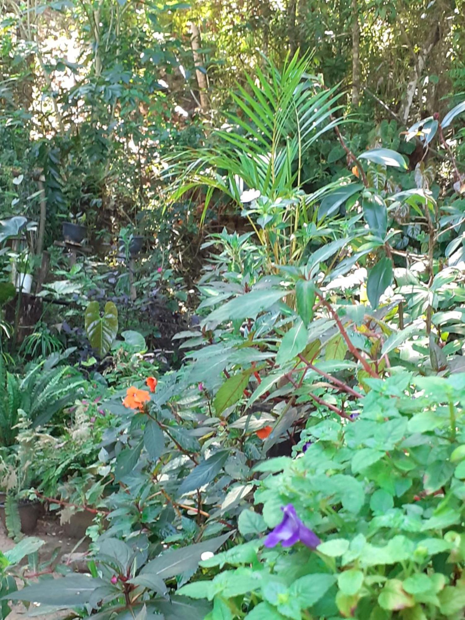 Homestay Chamathka