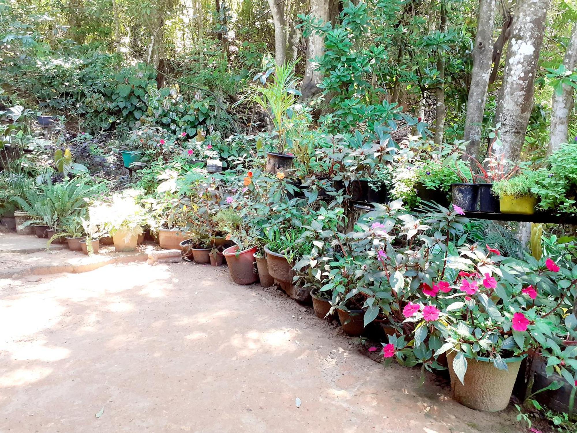 Homestay Chamathka Ella