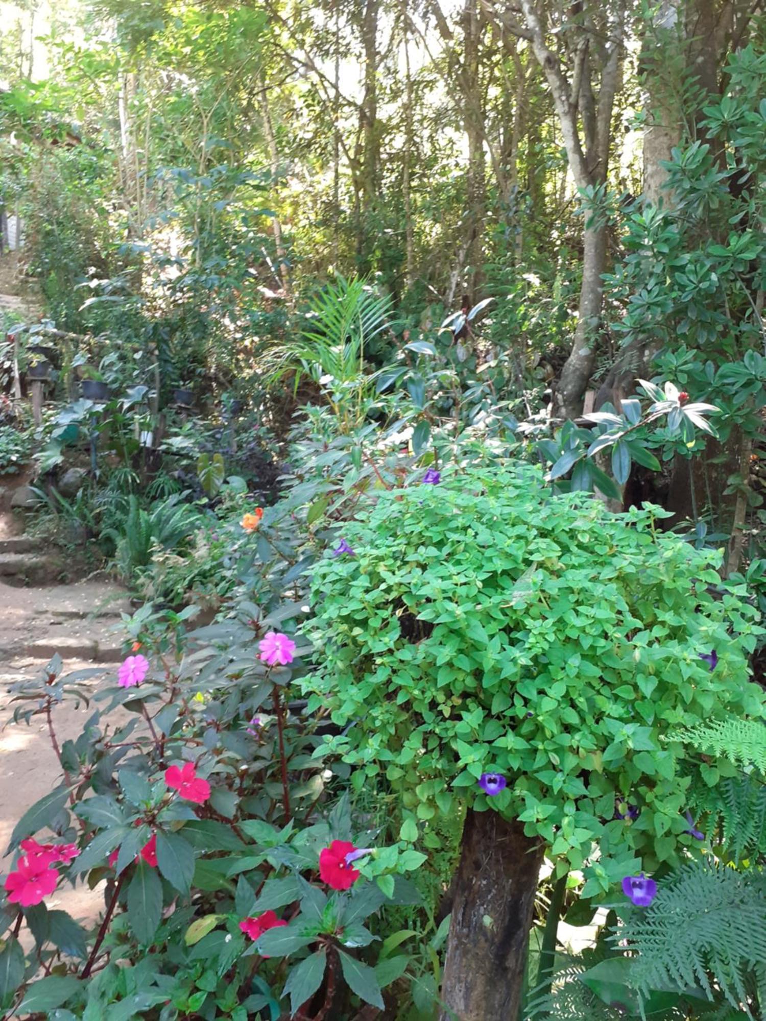 Homestay Chamathka