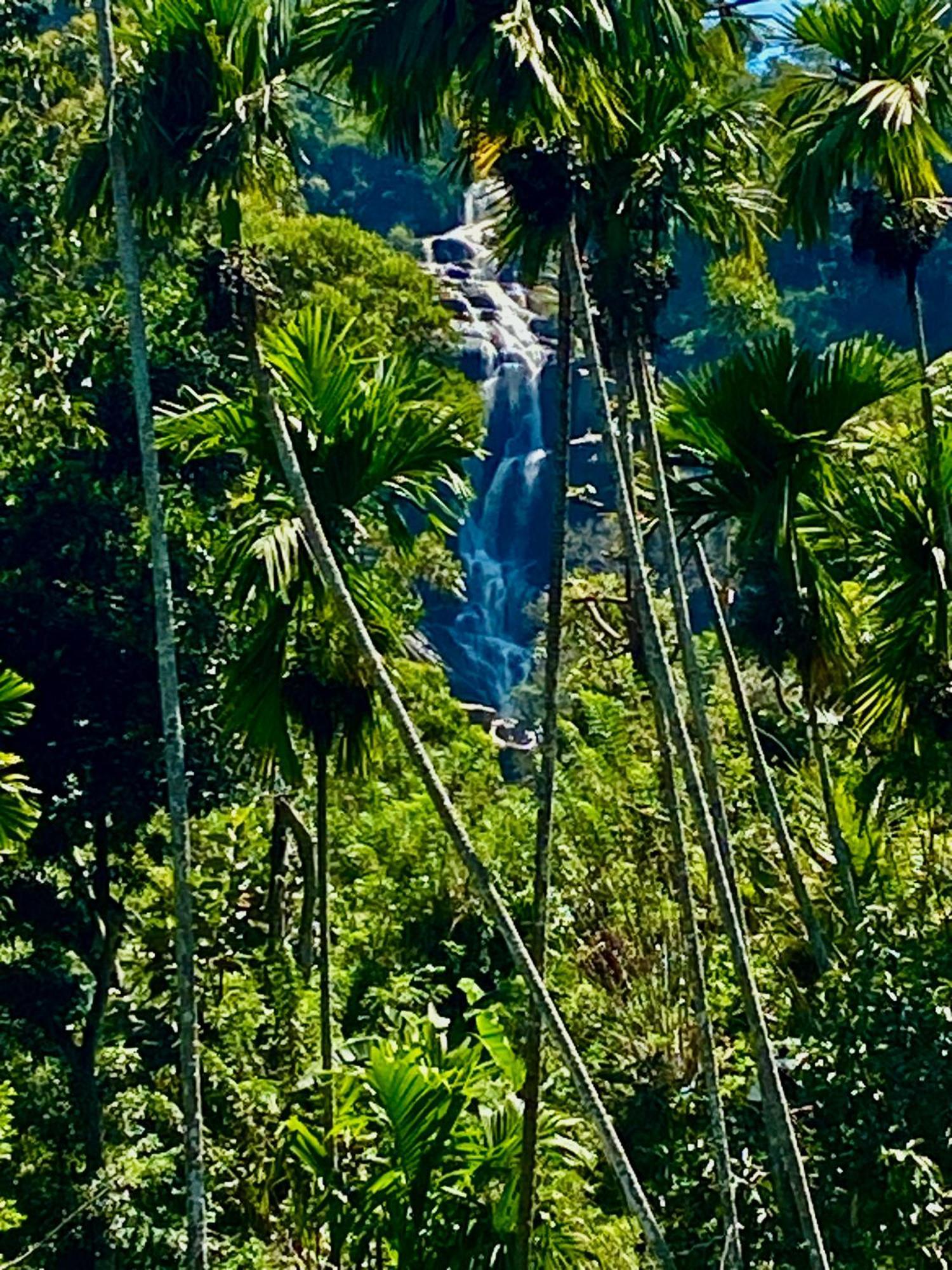 Hotel Cozy Waterfall Road