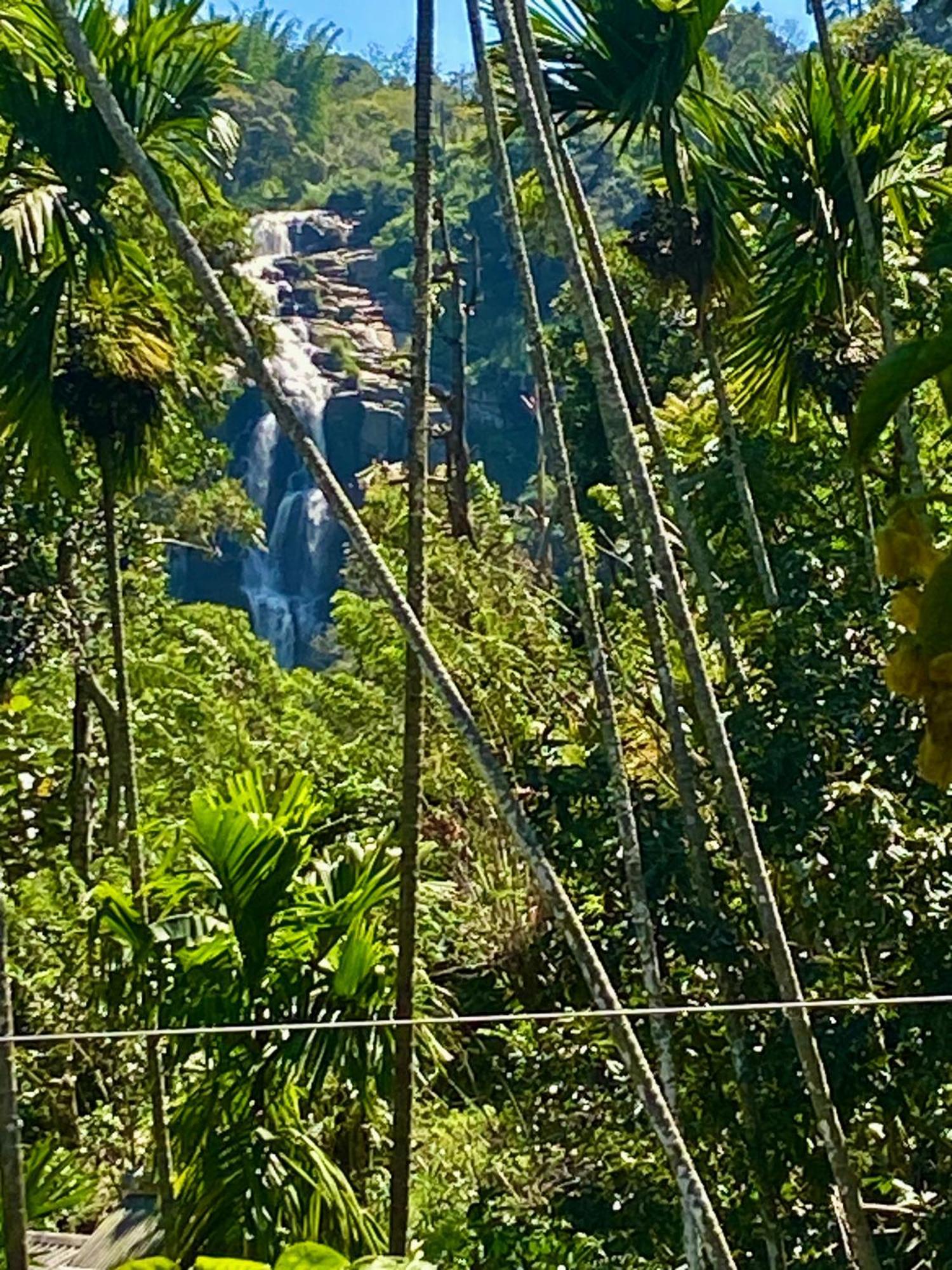 Hotel Cozy Waterfall Road *