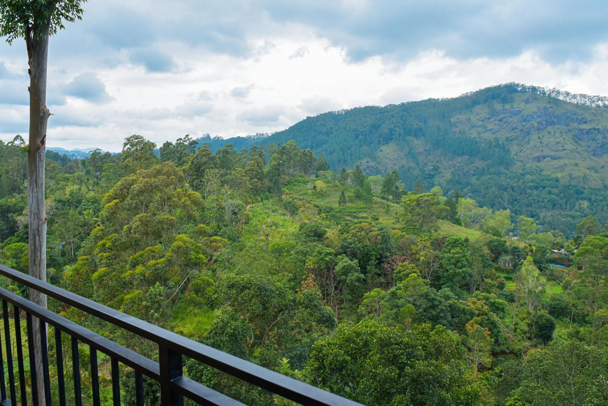 Tea Hills Hotel Ella