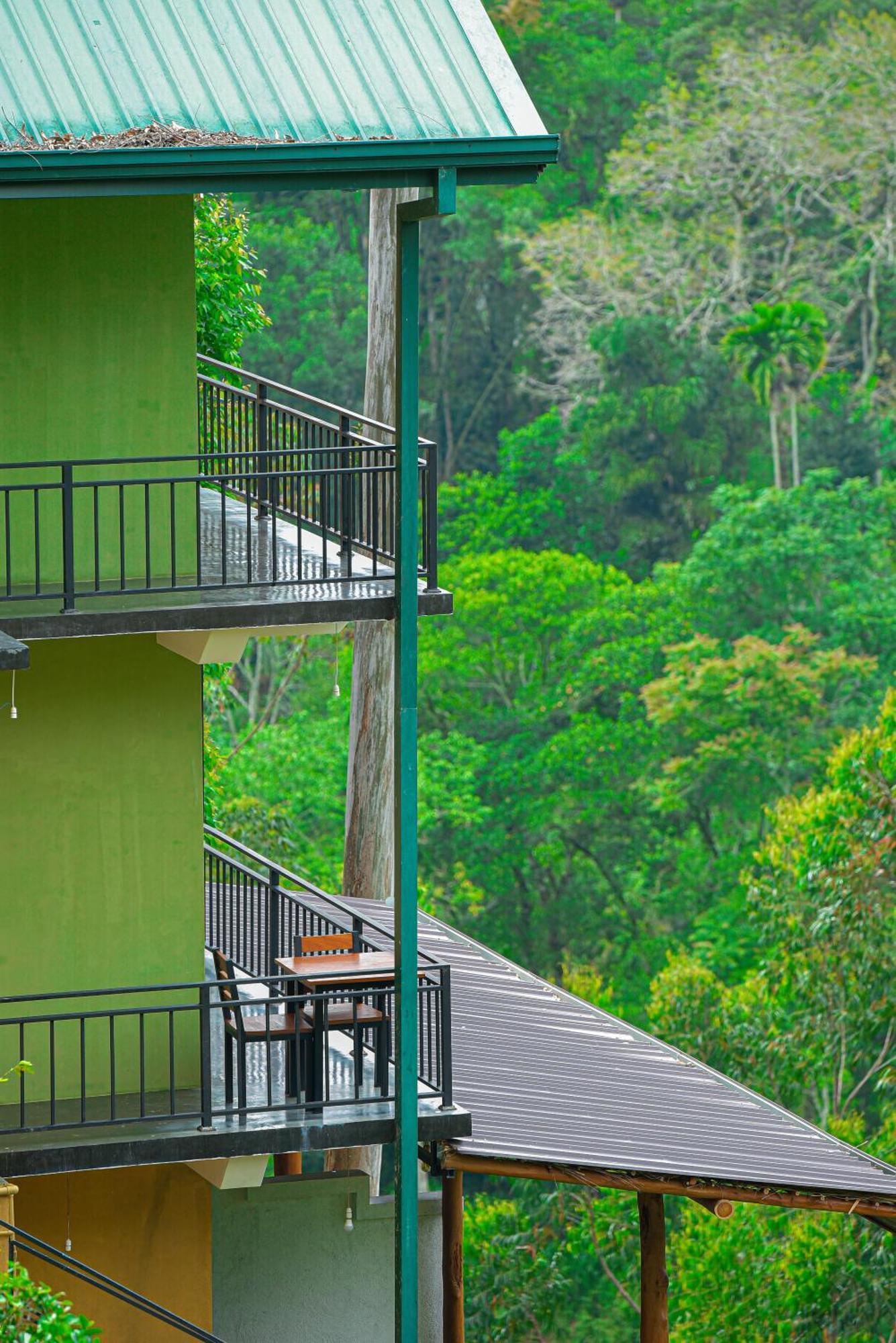 Hotel Tea Hills *