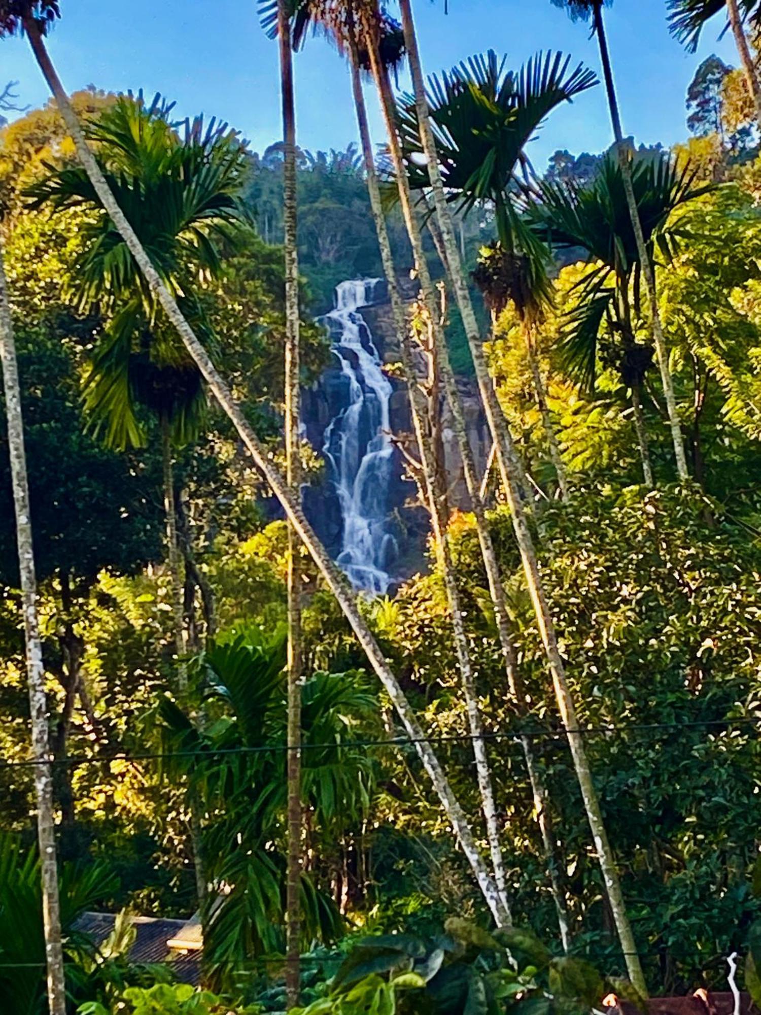 Cozy Waterfall Road