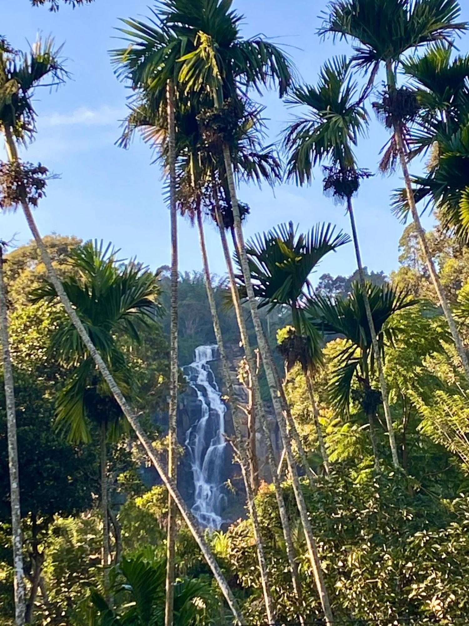 Cozy Waterfall Road Hotel *