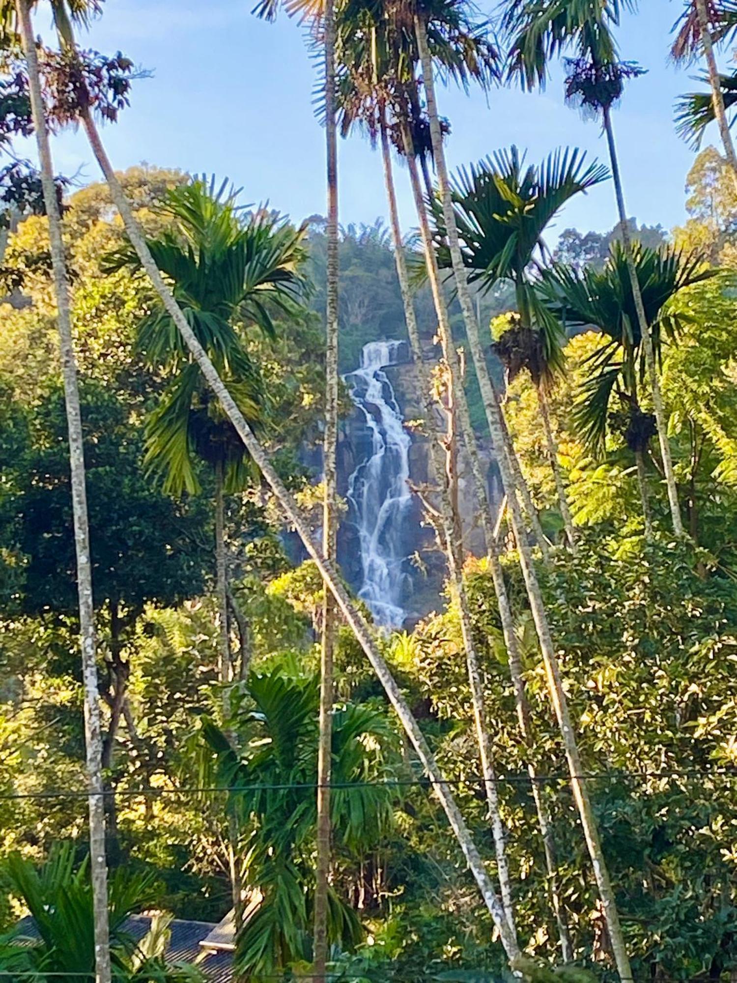 Hotel Cozy Waterfall Road Ella