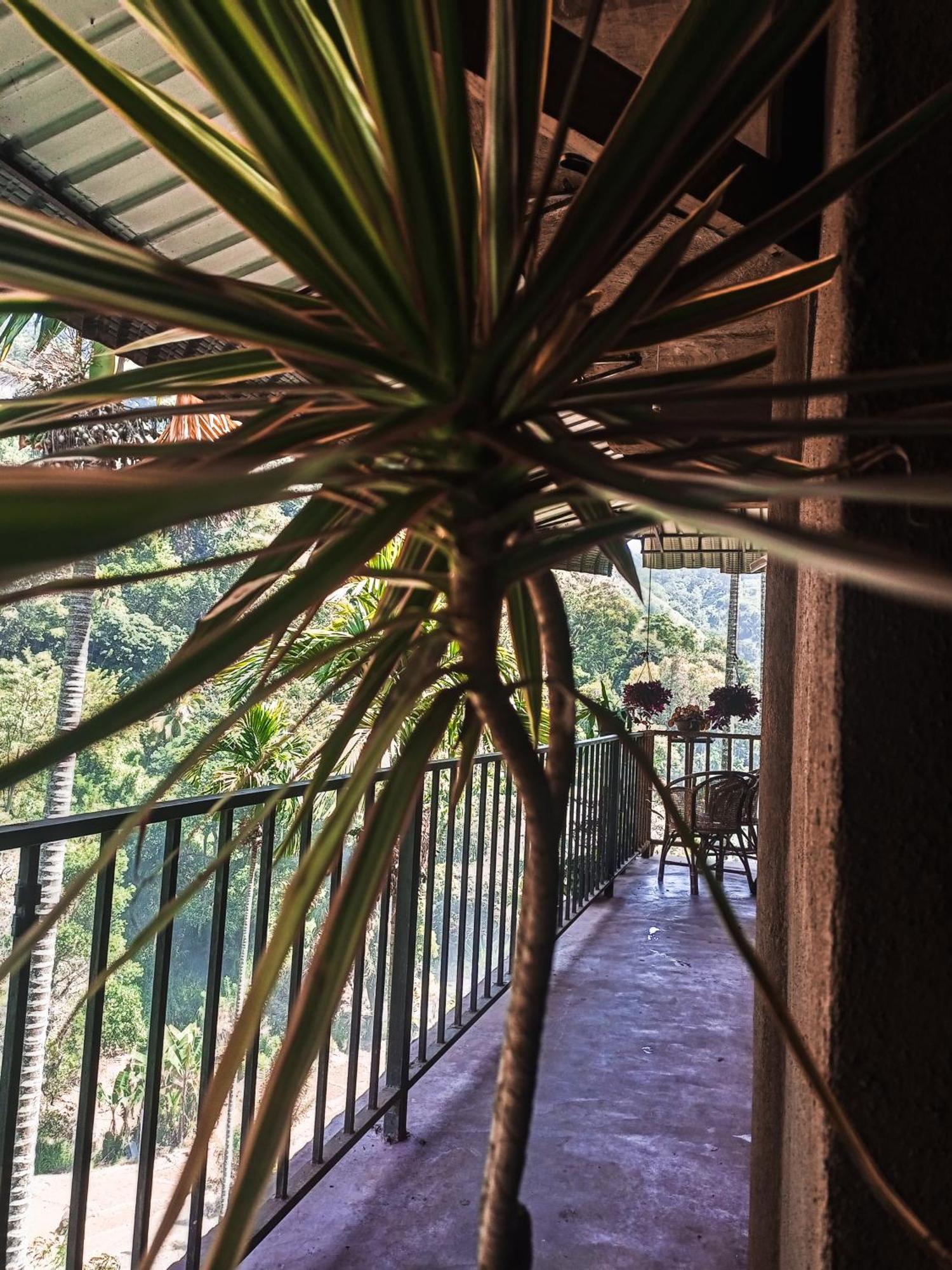 Bed & Breakfast Creek Downhills *