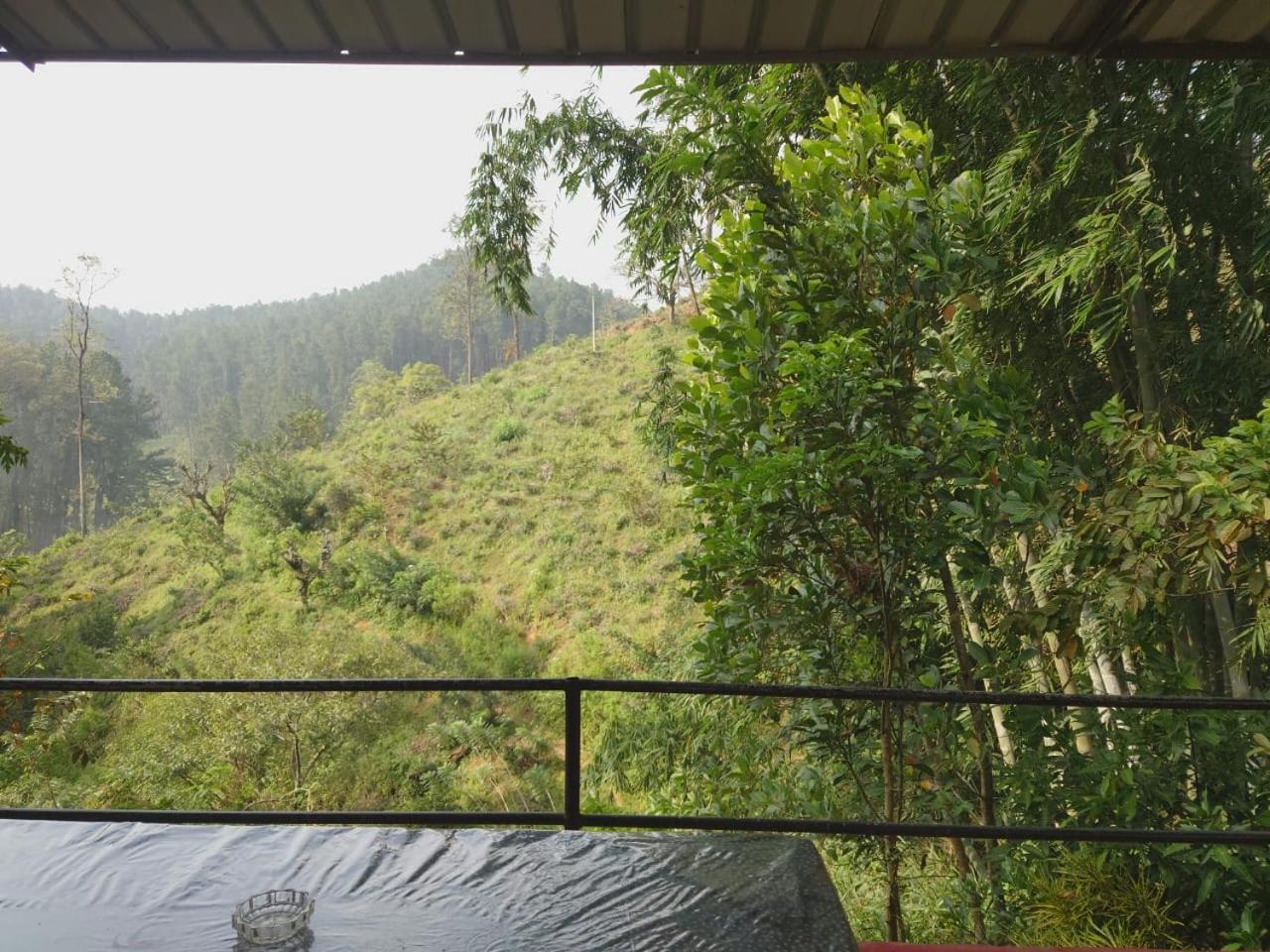 Homestay Windy Nest *