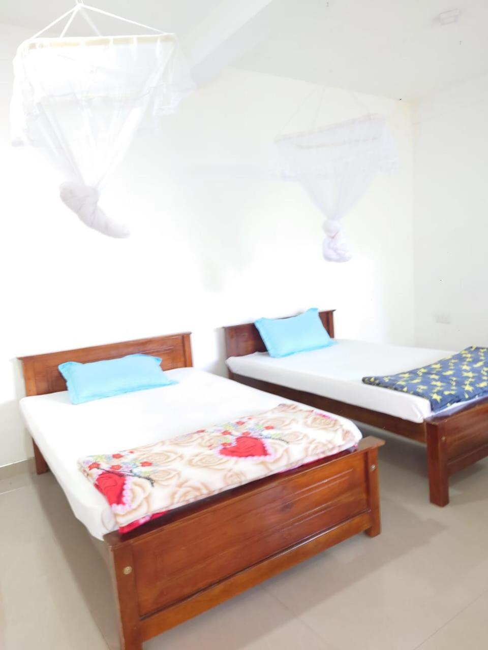 Windy Nest Homestay