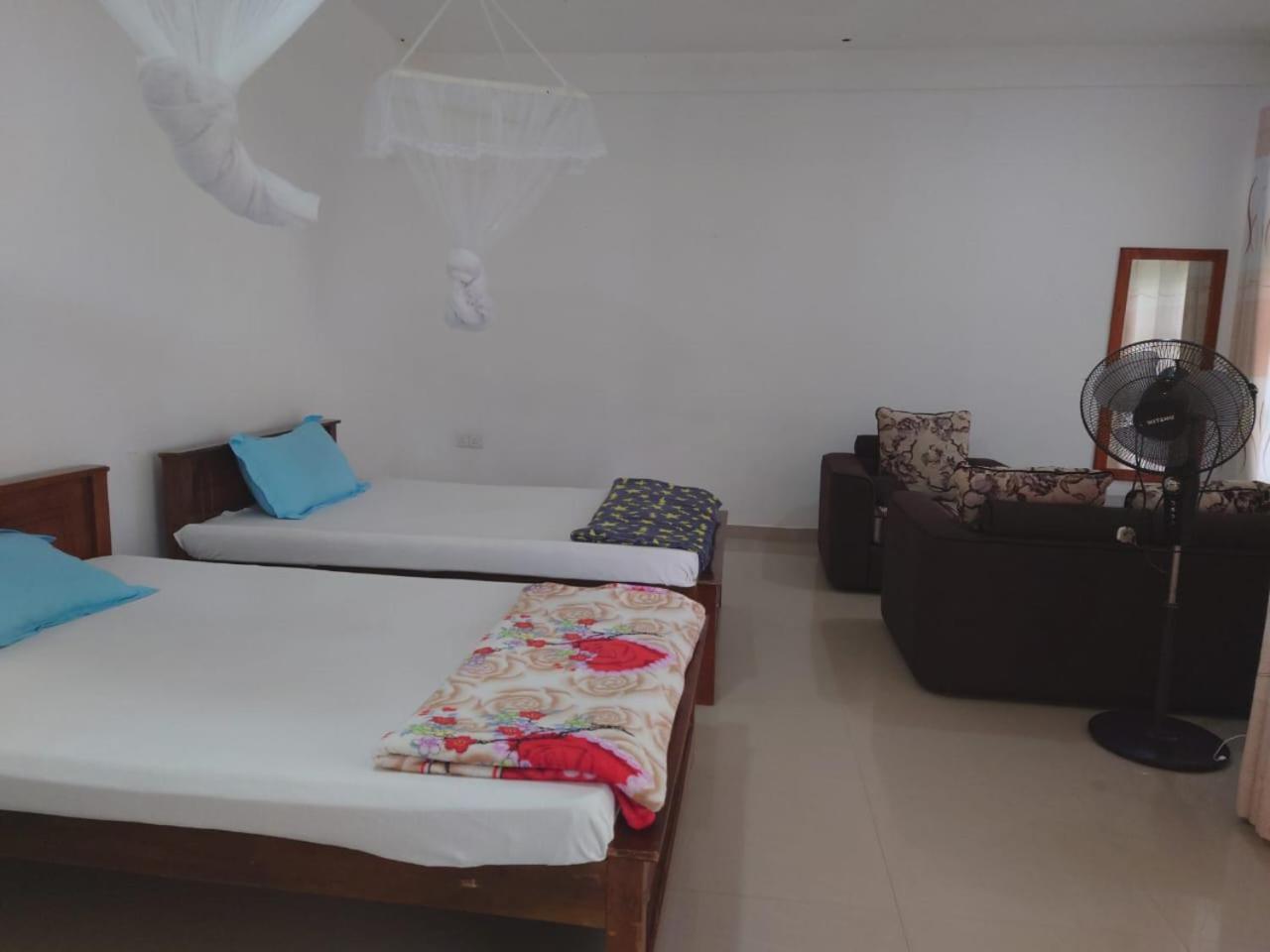 Homestay Windy Nest