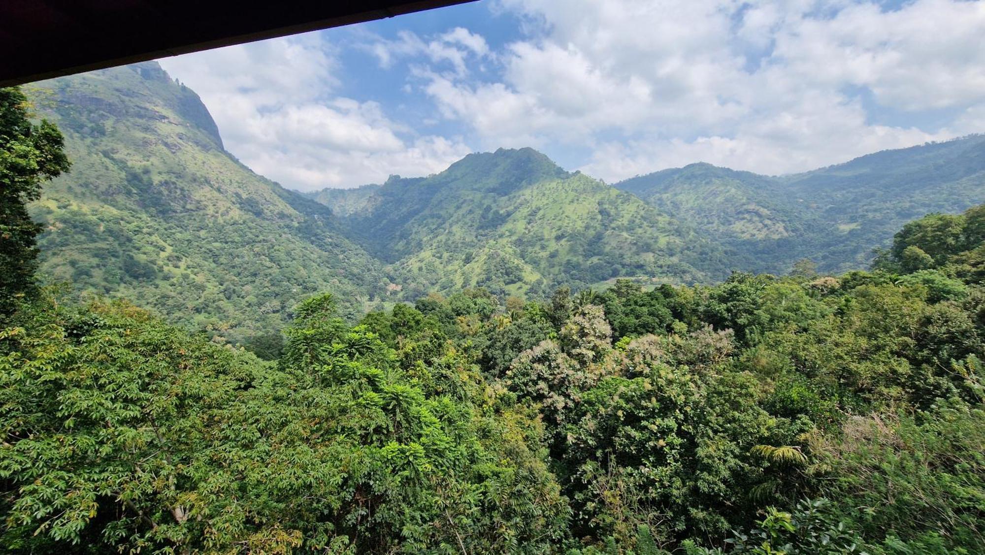 Wild Waterfall Hotel Ella