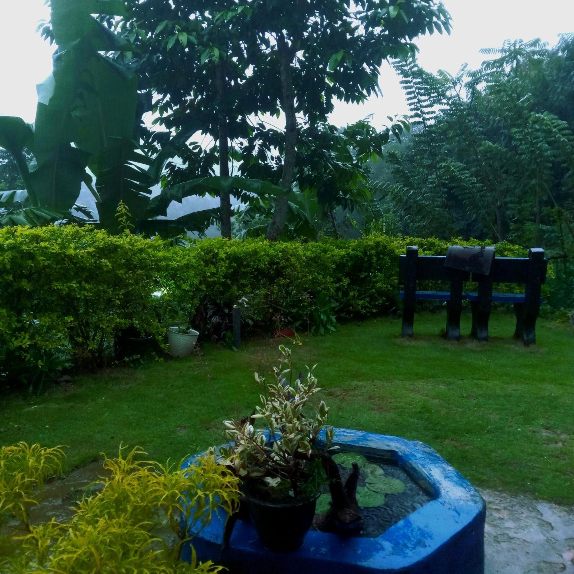 Willow Guest house *