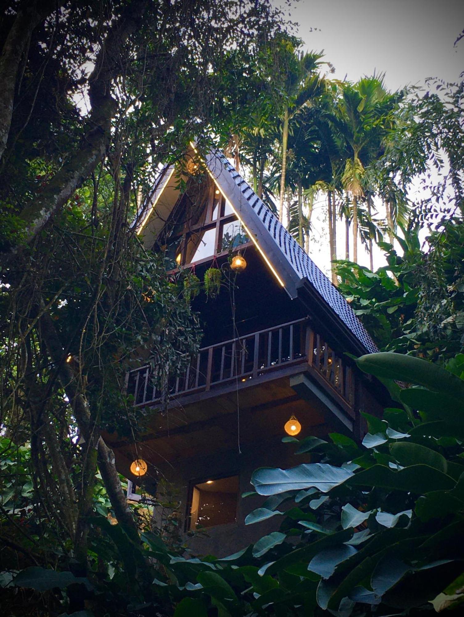 The Jungle