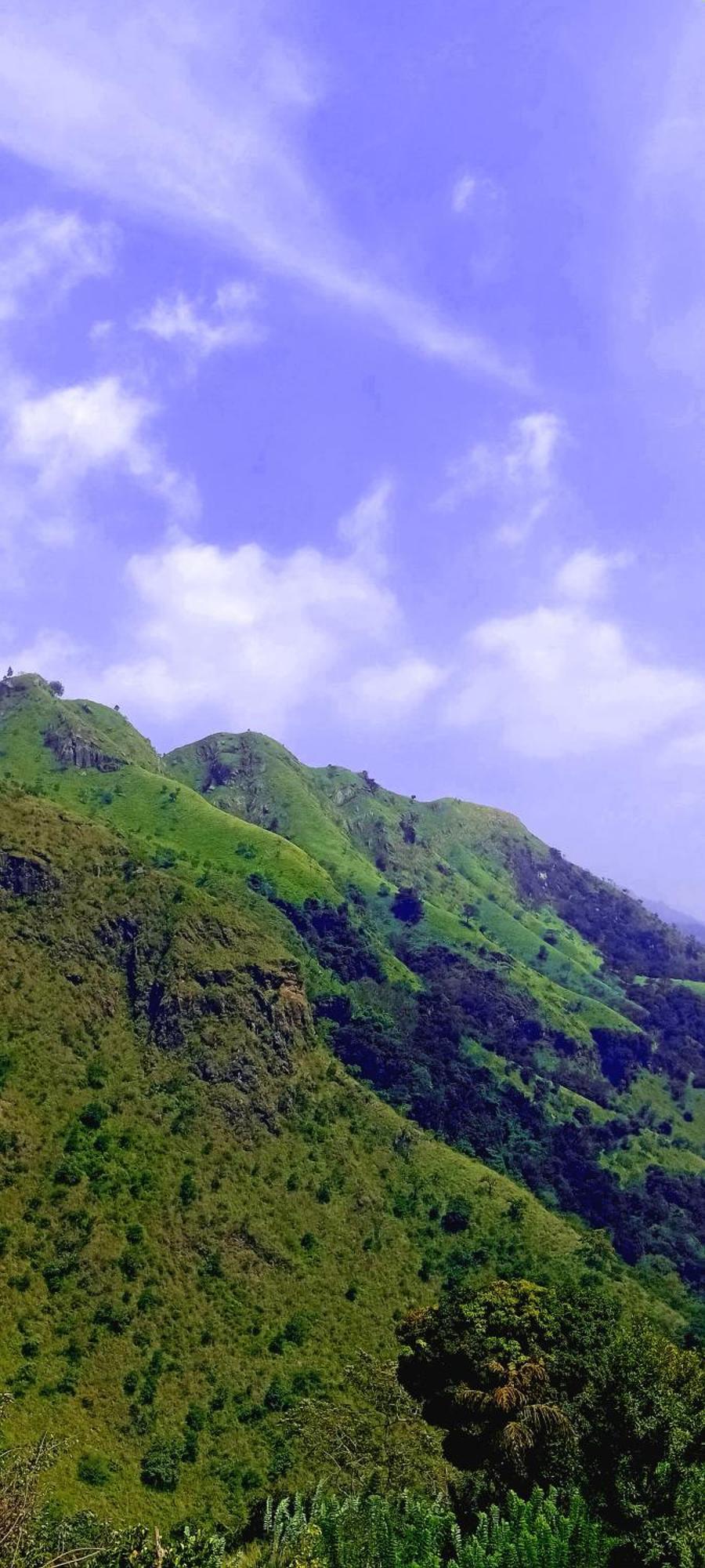 Jungle Cave Lodge *