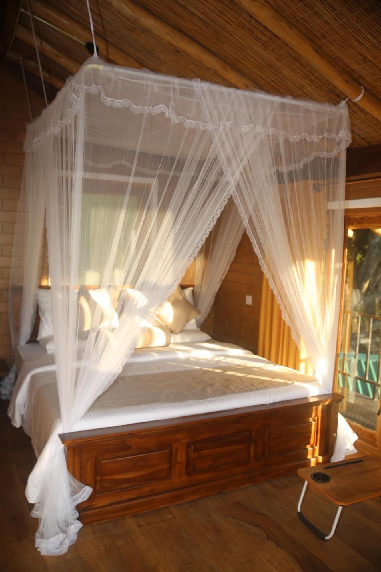 Lodge Jungle Cave