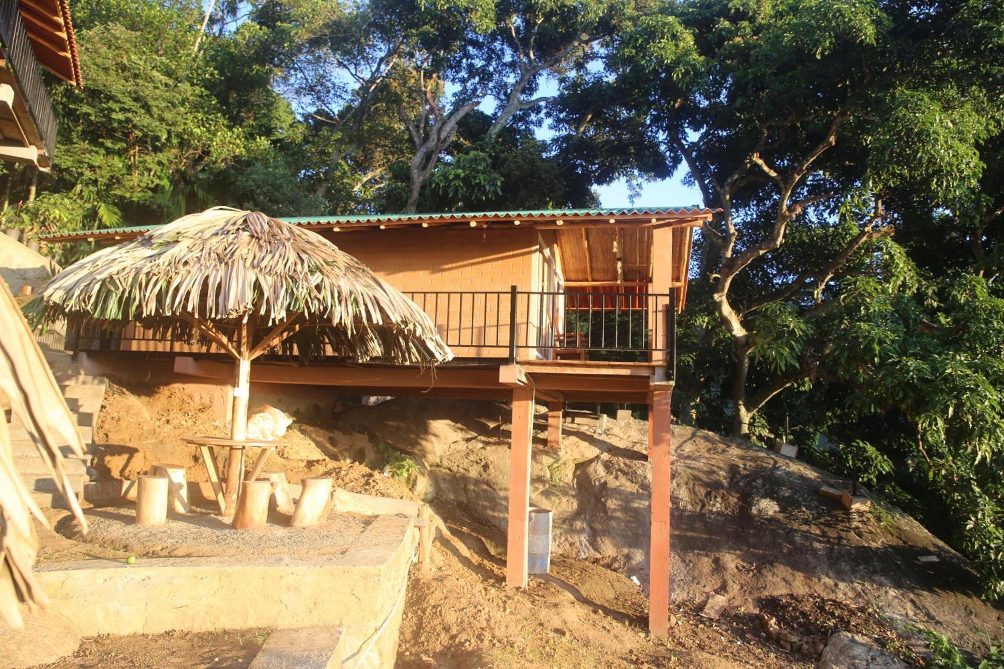 Jungle Cave