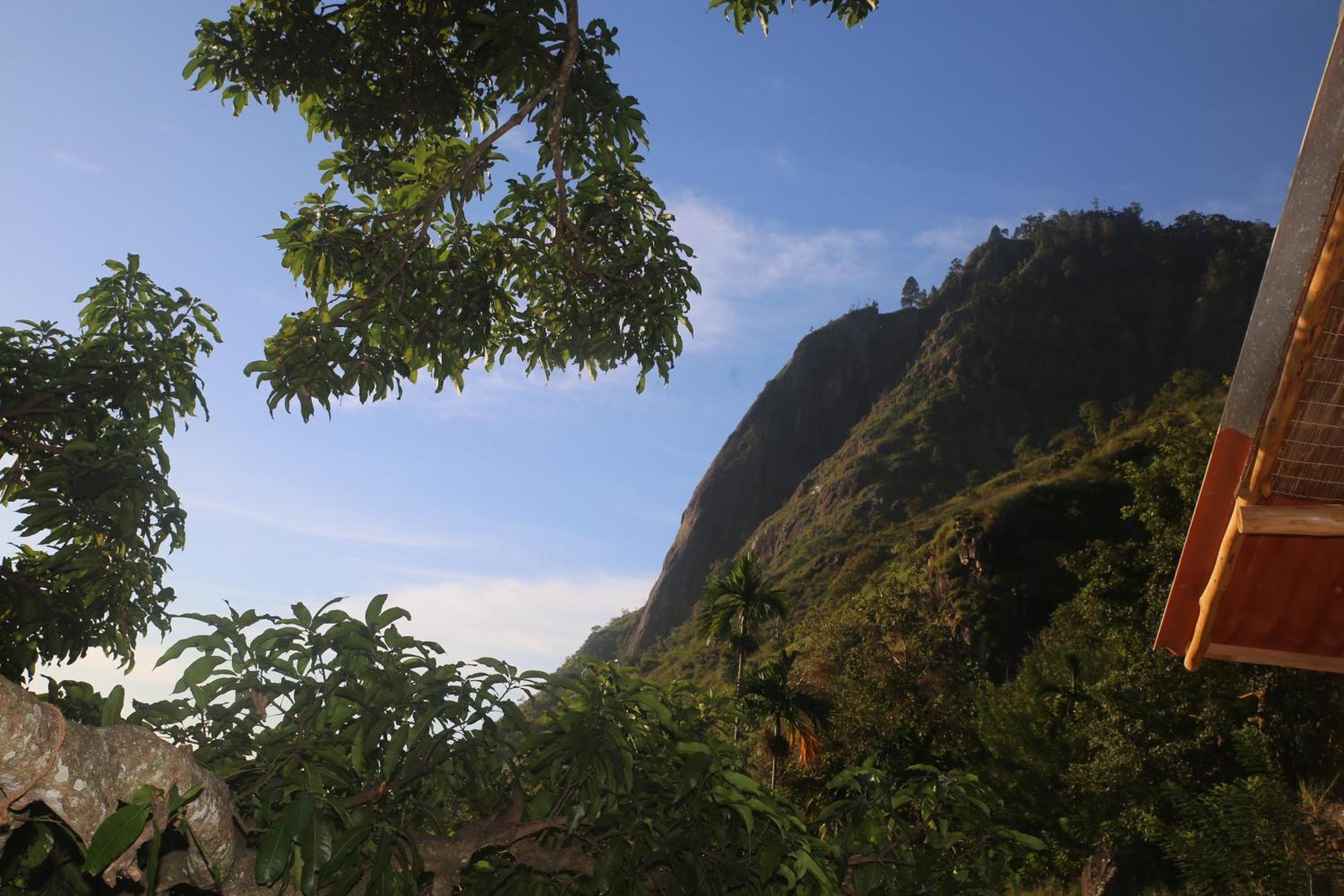 Lodge Jungle Cave *