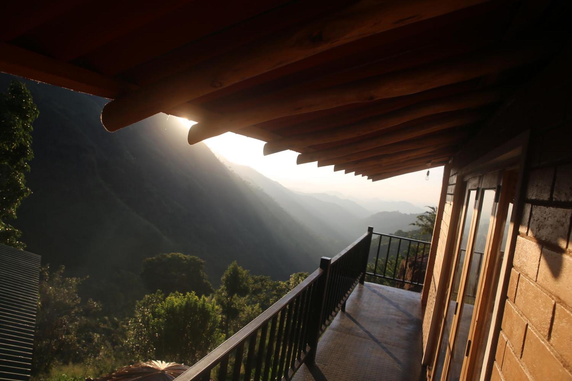 Lodge Jungle Cave *
