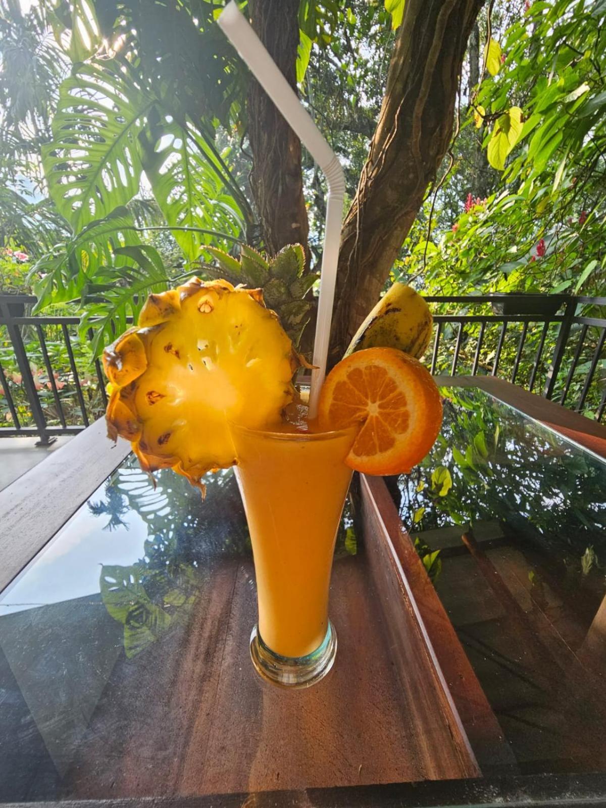 Secret Paradise Guest house *
