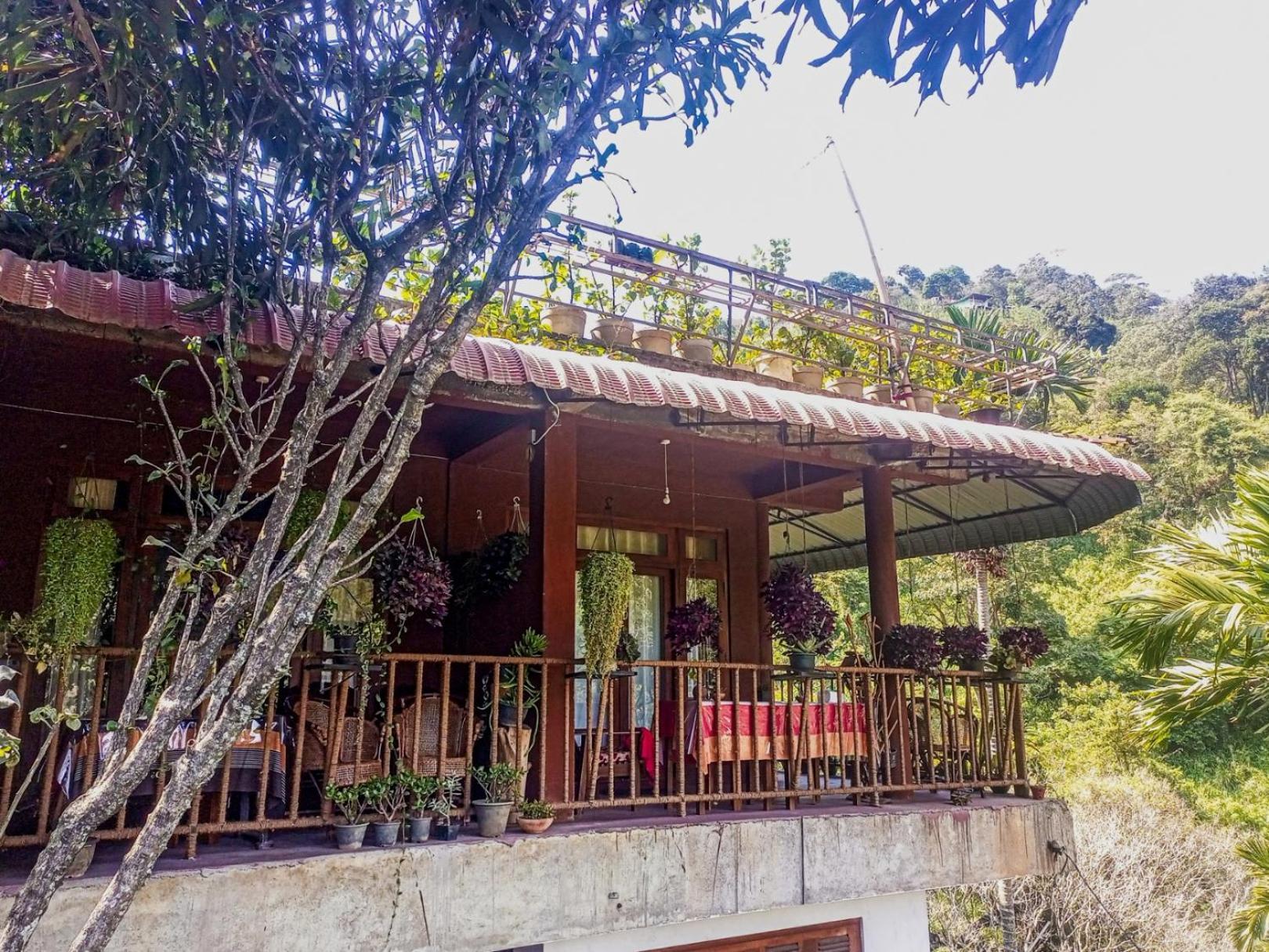 Creek Downhills Bed & Breakfast