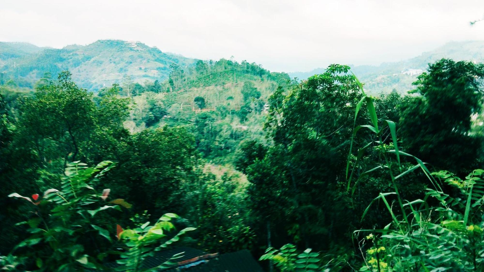 Hushwood Family Homestay