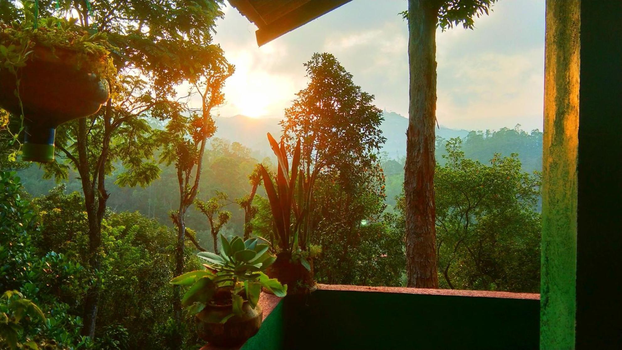 Hushwood Family Homestay