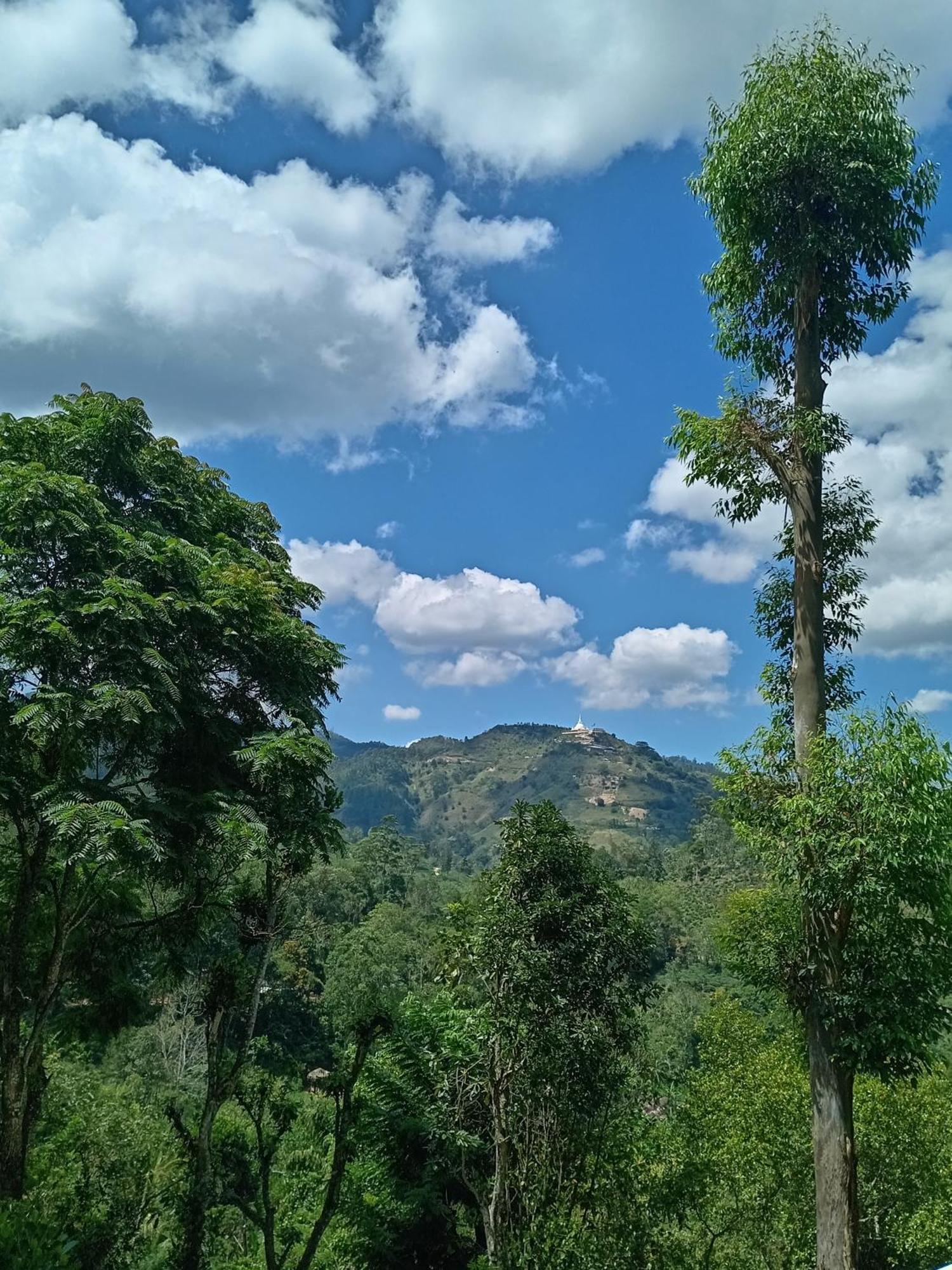 Hushwood Family Homestay
