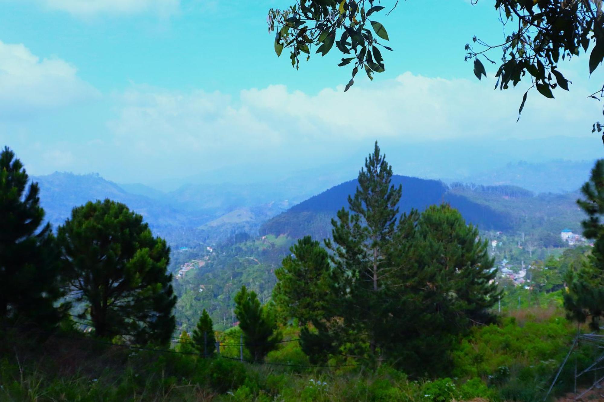 Hill Forest Hostel