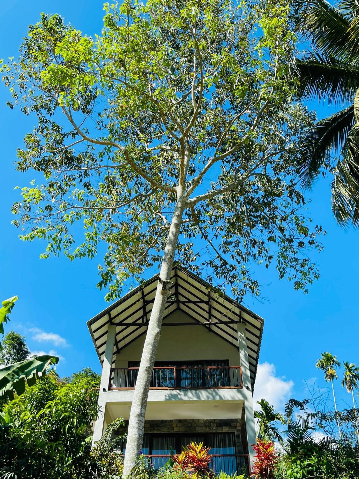 Bed & Breakfast Blue Heaven *