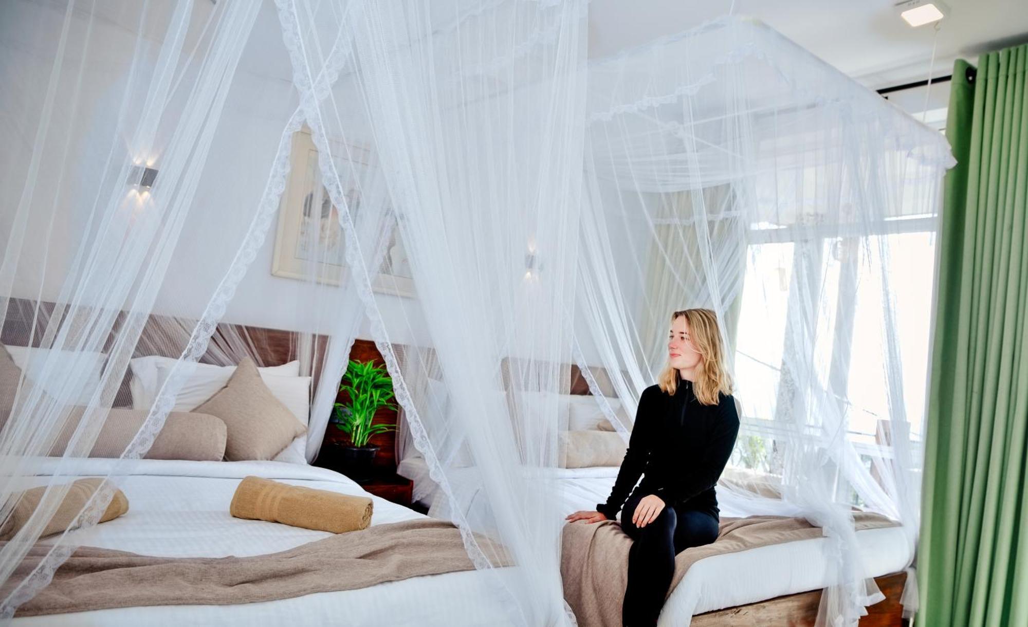 Bamboo Tree Bed & Breakfast *