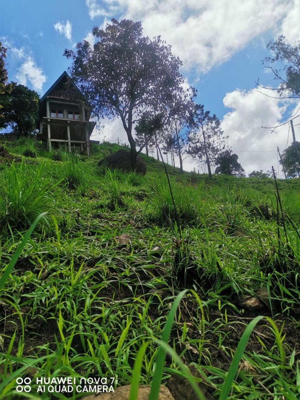 Miracle View Lodge