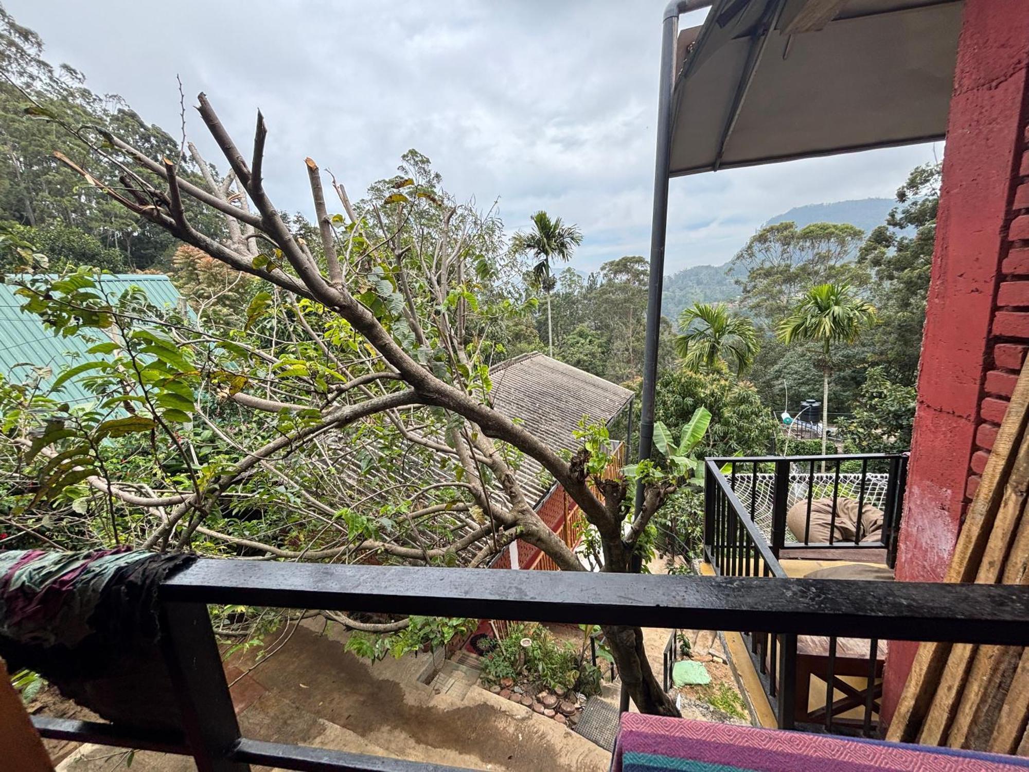 New View Guest house 3*