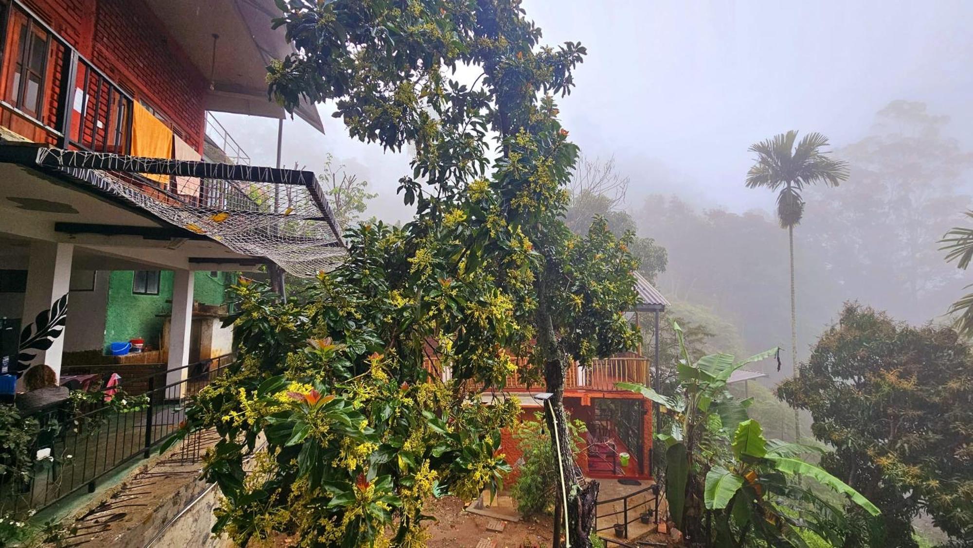 New View Guest house 3*